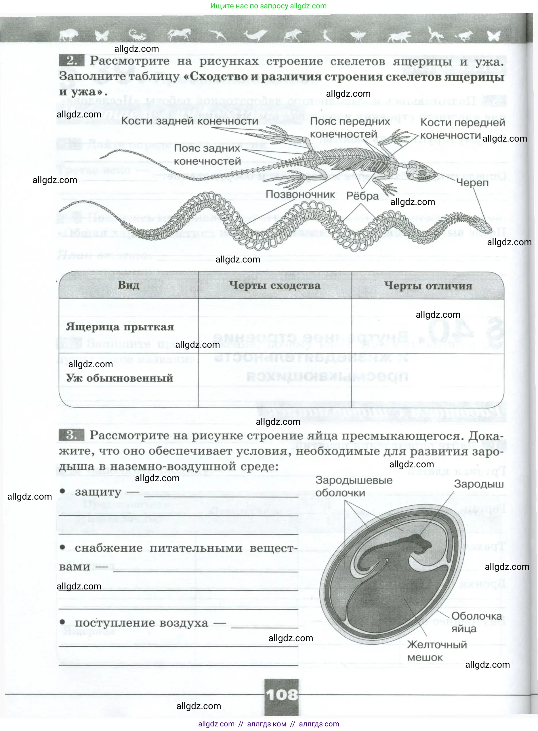 Биология, 8 класс рабочая тетрадь, авторы: Суматохин Сергей Витальевич, Пасечник Владимир Васильевич, Гапонюк Зоя Георгиевна, издательство Просвещение, Москва, 2023, оранжевого цвета, страница 108