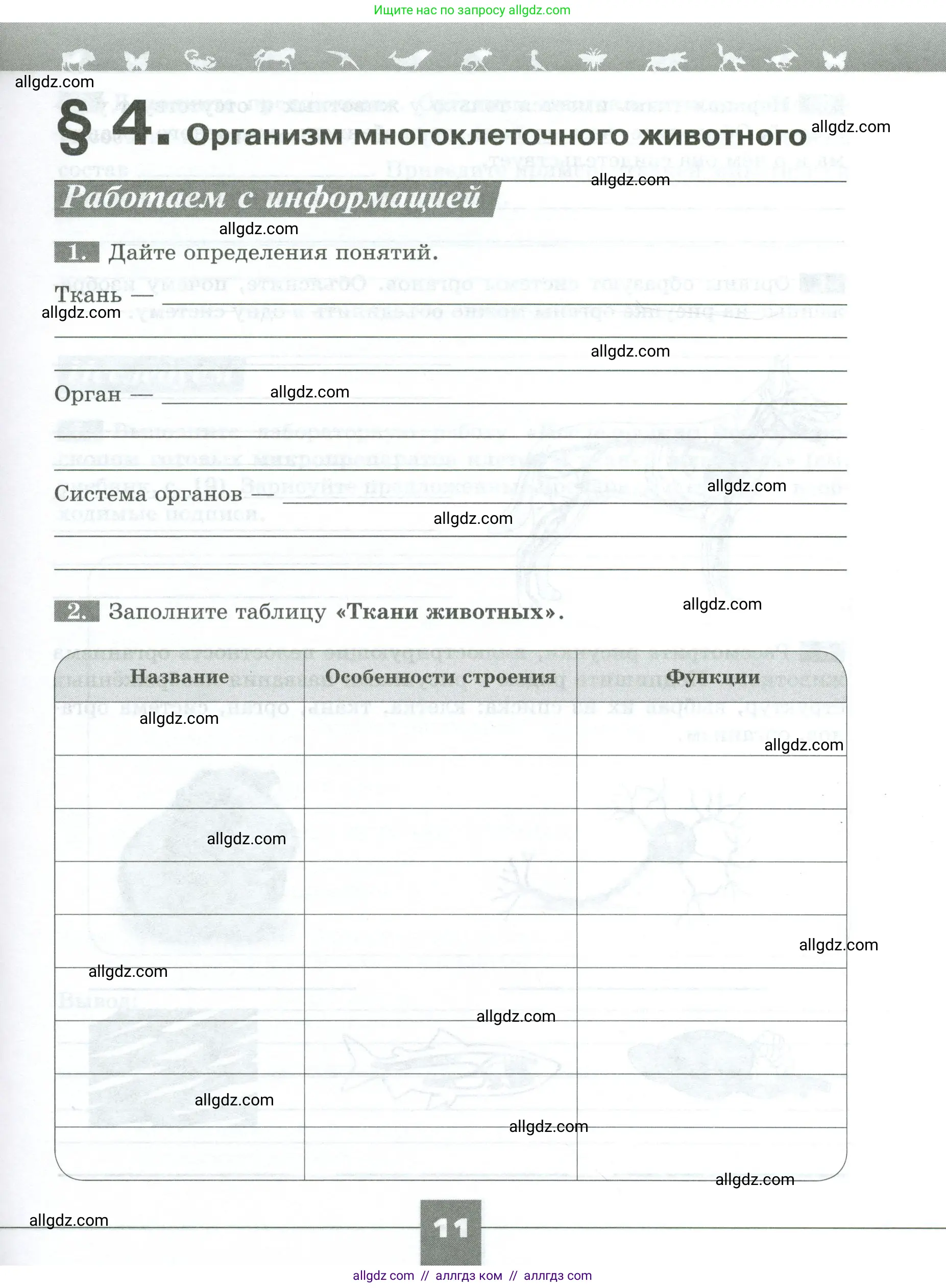Биология, 8 класс рабочая тетрадь, авторы: Суматохин Сергей Витальевич, Пасечник Владимир Васильевич, Гапонюк Зоя Георгиевна, издательство Просвещение, Москва, 2023, оранжевого цвета, страница 11