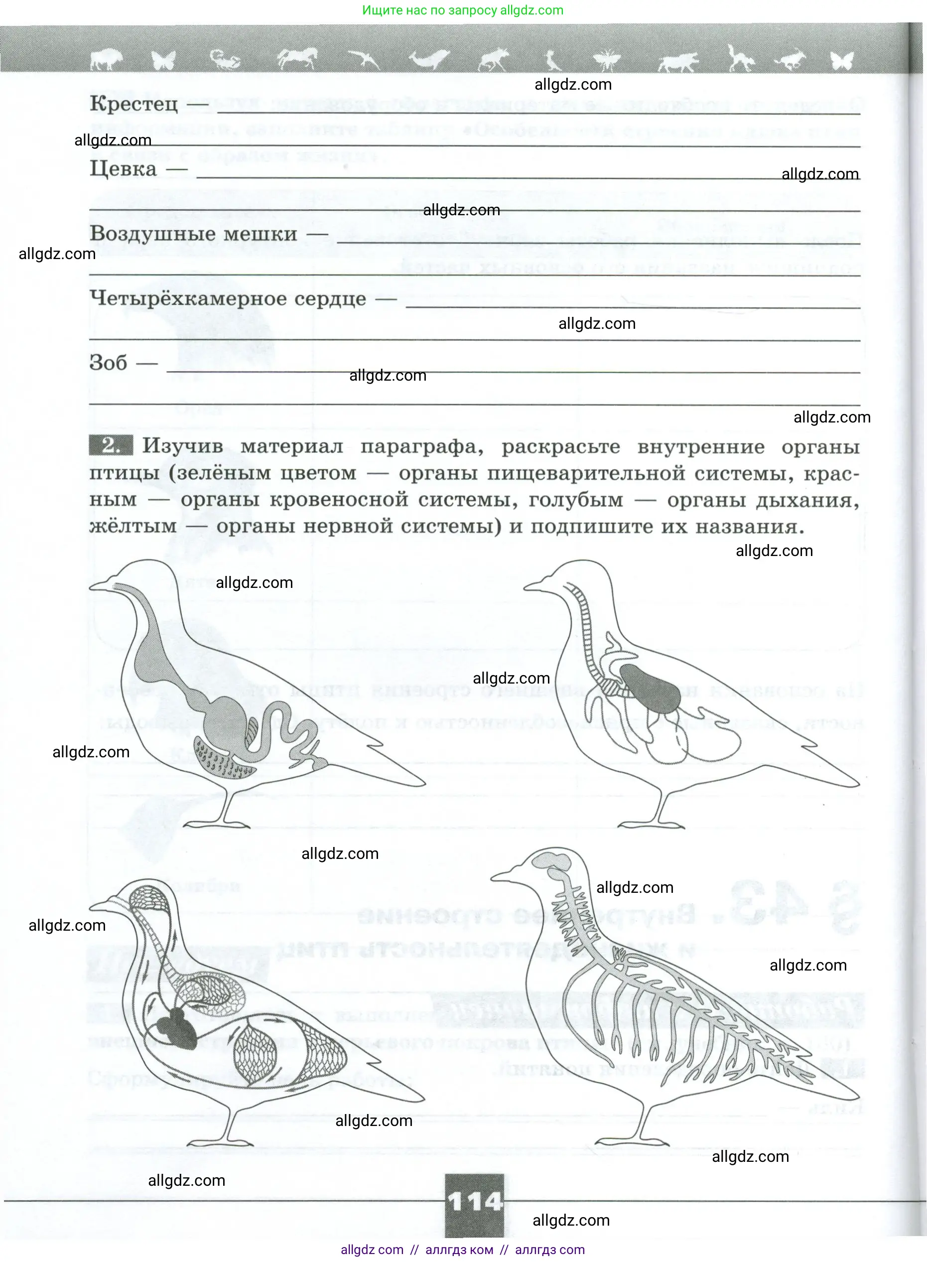 Биология, 8 класс рабочая тетрадь, авторы: Суматохин Сергей Витальевич, Пасечник Владимир Васильевич, Гапонюк Зоя Георгиевна, издательство Просвещение, Москва, 2023, оранжевого цвета, страница 114