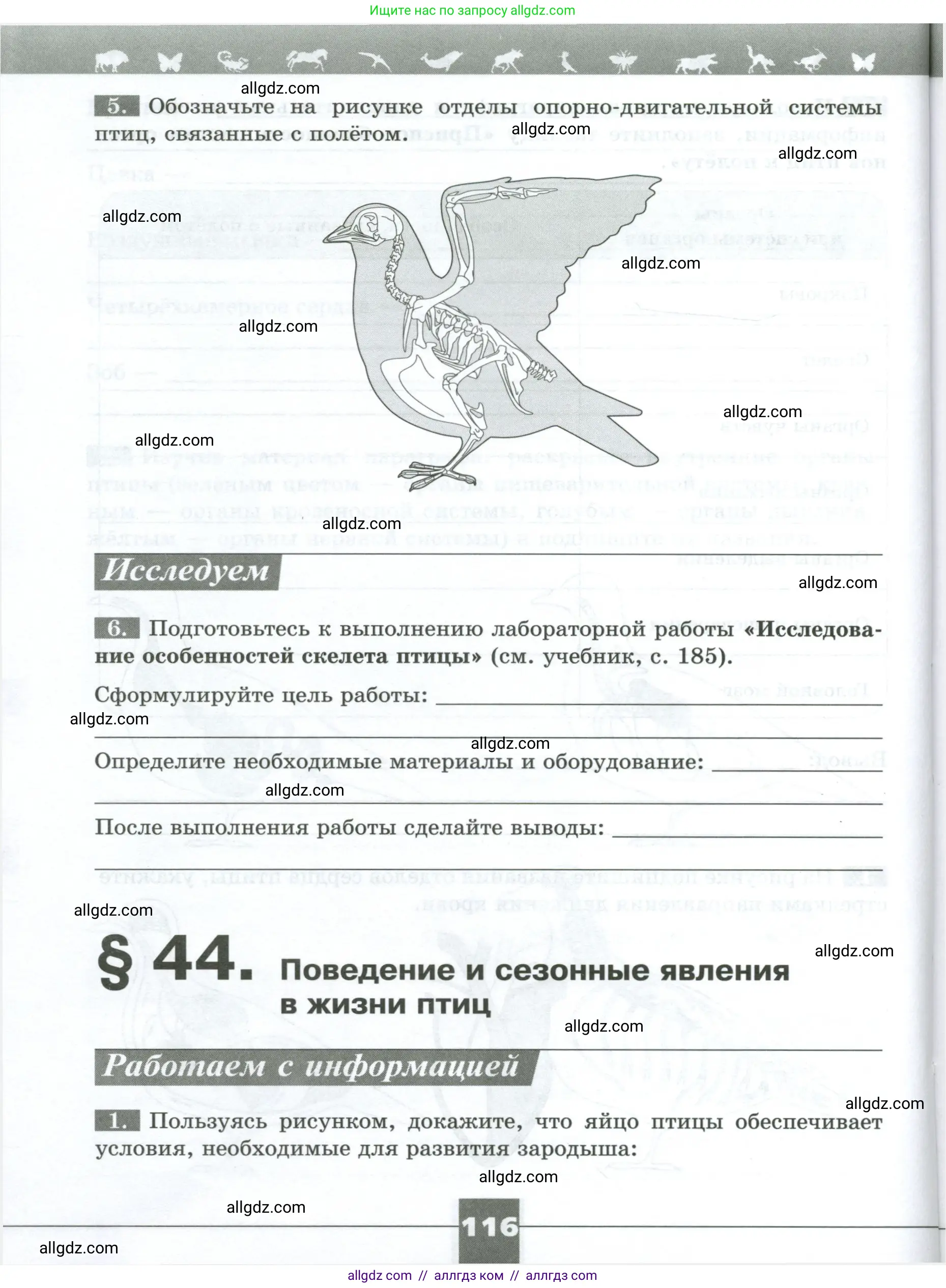 Биология, 8 класс рабочая тетрадь, авторы: Суматохин Сергей Витальевич, Пасечник Владимир Васильевич, Гапонюк Зоя Георгиевна, издательство Просвещение, Москва, 2023, оранжевого цвета, страница 116