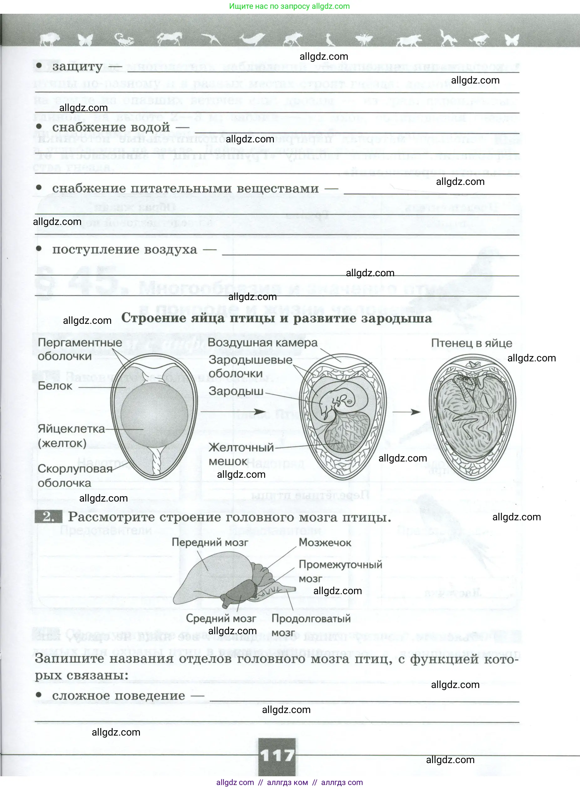 Биология, 8 класс рабочая тетрадь, авторы: Суматохин Сергей Витальевич, Пасечник Владимир Васильевич, Гапонюк Зоя Георгиевна, издательство Просвещение, Москва, 2023, оранжевого цвета, страница 117