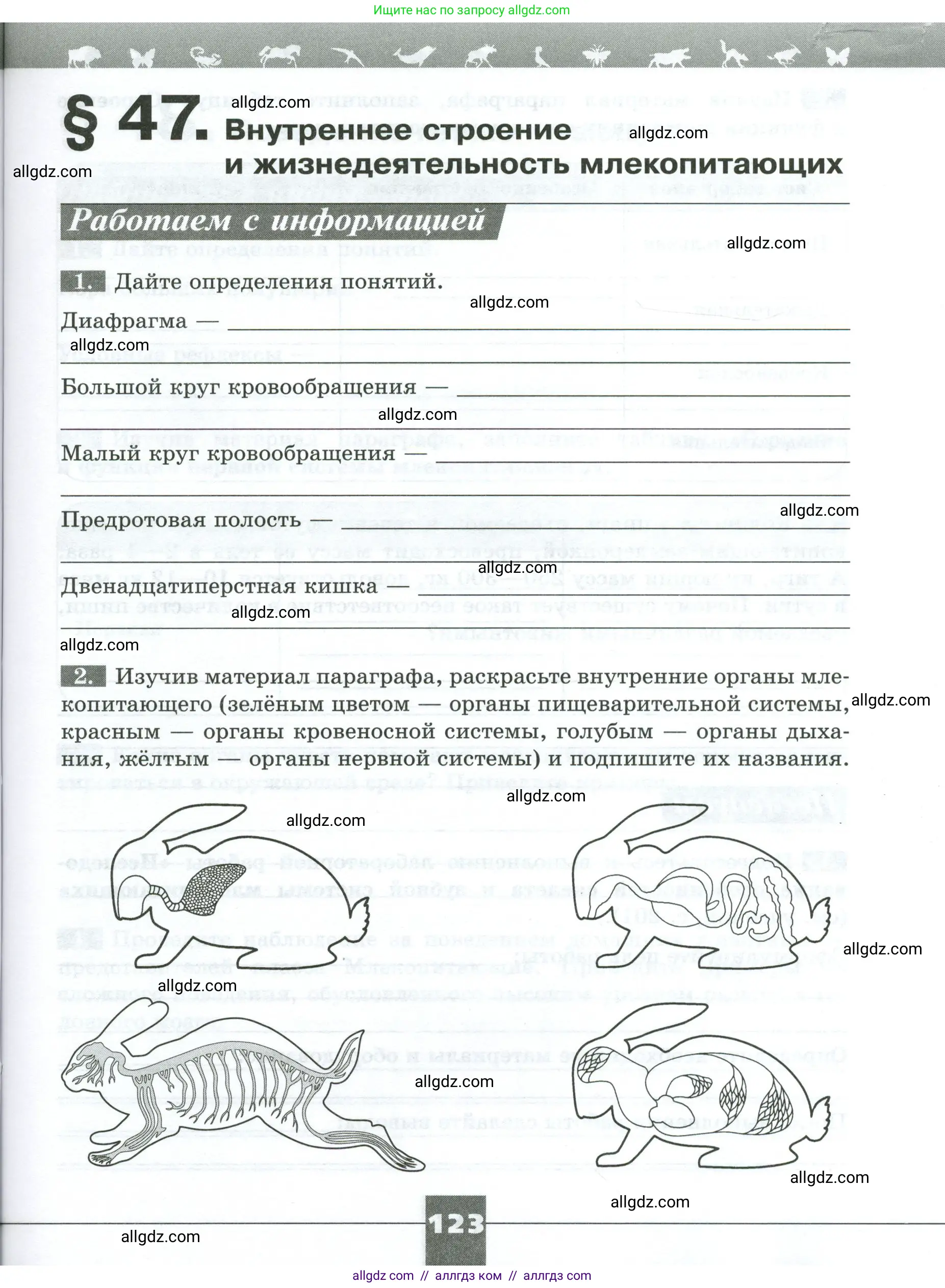 Биология, 8 класс рабочая тетрадь, авторы: Суматохин Сергей Витальевич, Пасечник Владимир Васильевич, Гапонюк Зоя Георгиевна, издательство Просвещение, Москва, 2023, оранжевого цвета, страница 123