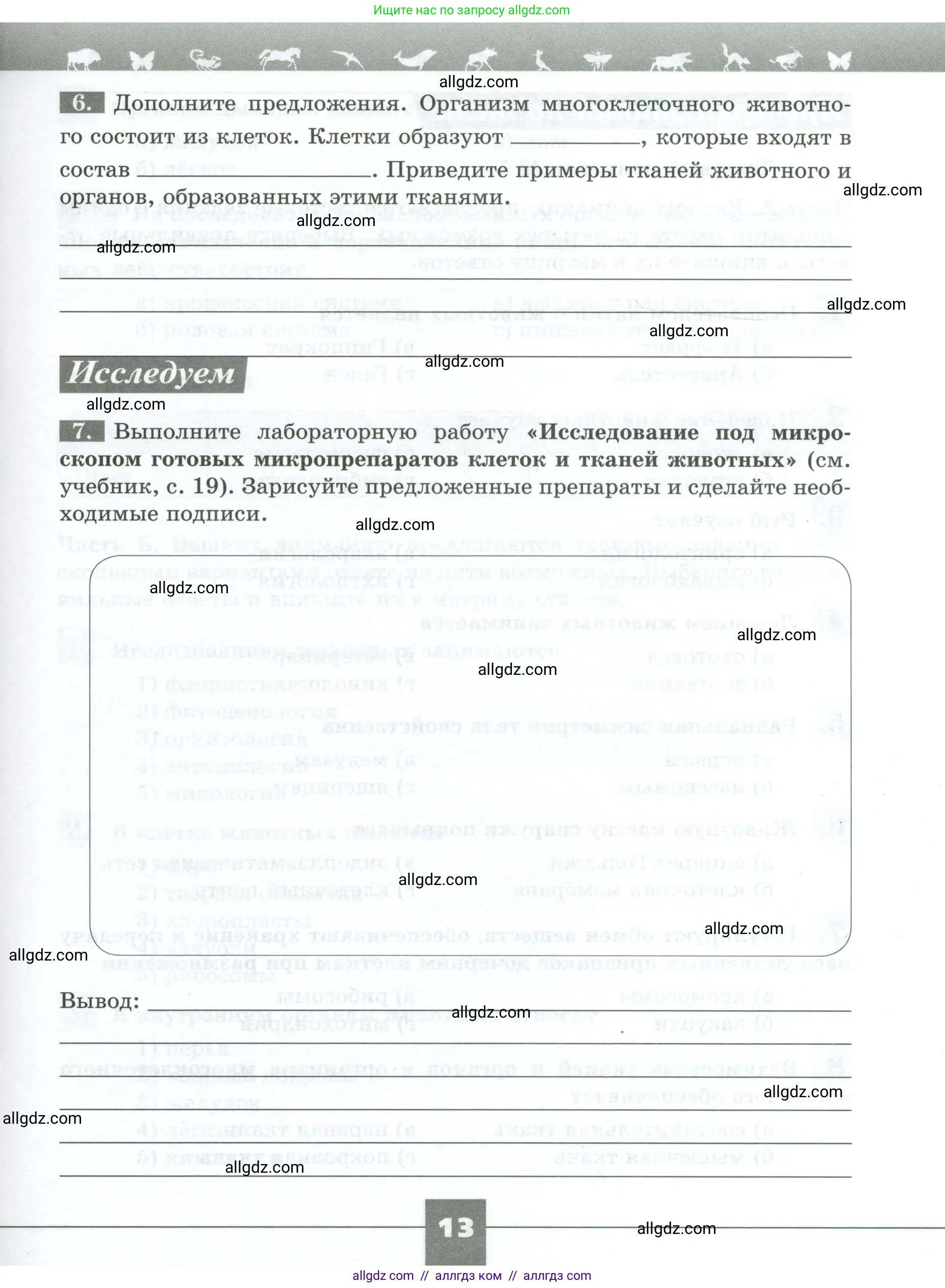 Биология, 8 класс рабочая тетрадь, авторы: Суматохин Сергей Витальевич, Пасечник Владимир Васильевич, Гапонюк Зоя Георгиевна, издательство Просвещение, Москва, 2023, оранжевого цвета, страница 13