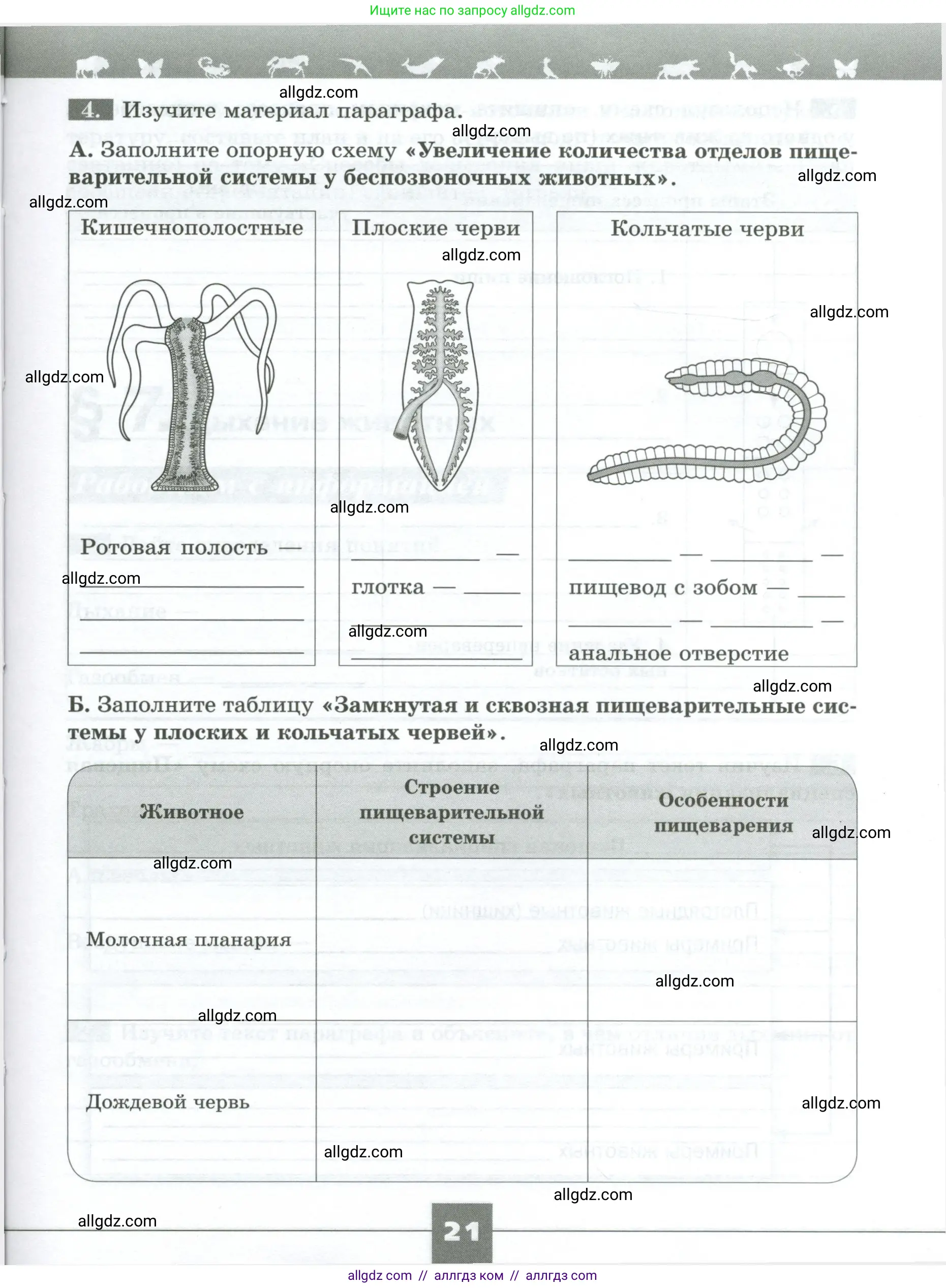 Биология, 8 класс рабочая тетрадь, авторы: Суматохин Сергей Витальевич, Пасечник Владимир Васильевич, Гапонюк Зоя Георгиевна, издательство Просвещение, Москва, 2023, оранжевого цвета, страница 21