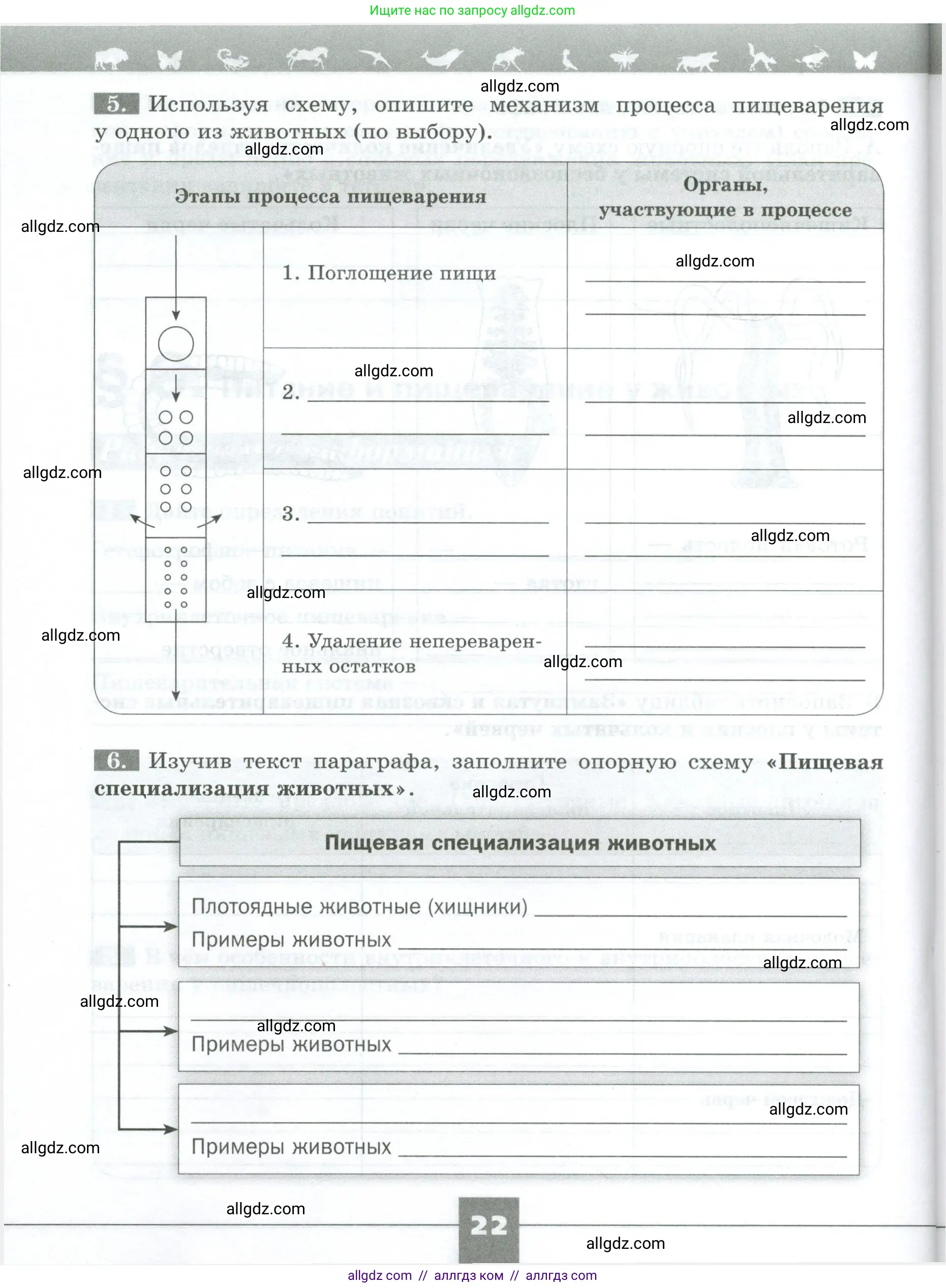 Биология, 8 класс рабочая тетрадь, авторы: Суматохин Сергей Витальевич, Пасечник Владимир Васильевич, Гапонюк Зоя Георгиевна, издательство Просвещение, Москва, 2023, оранжевого цвета, страница 22
