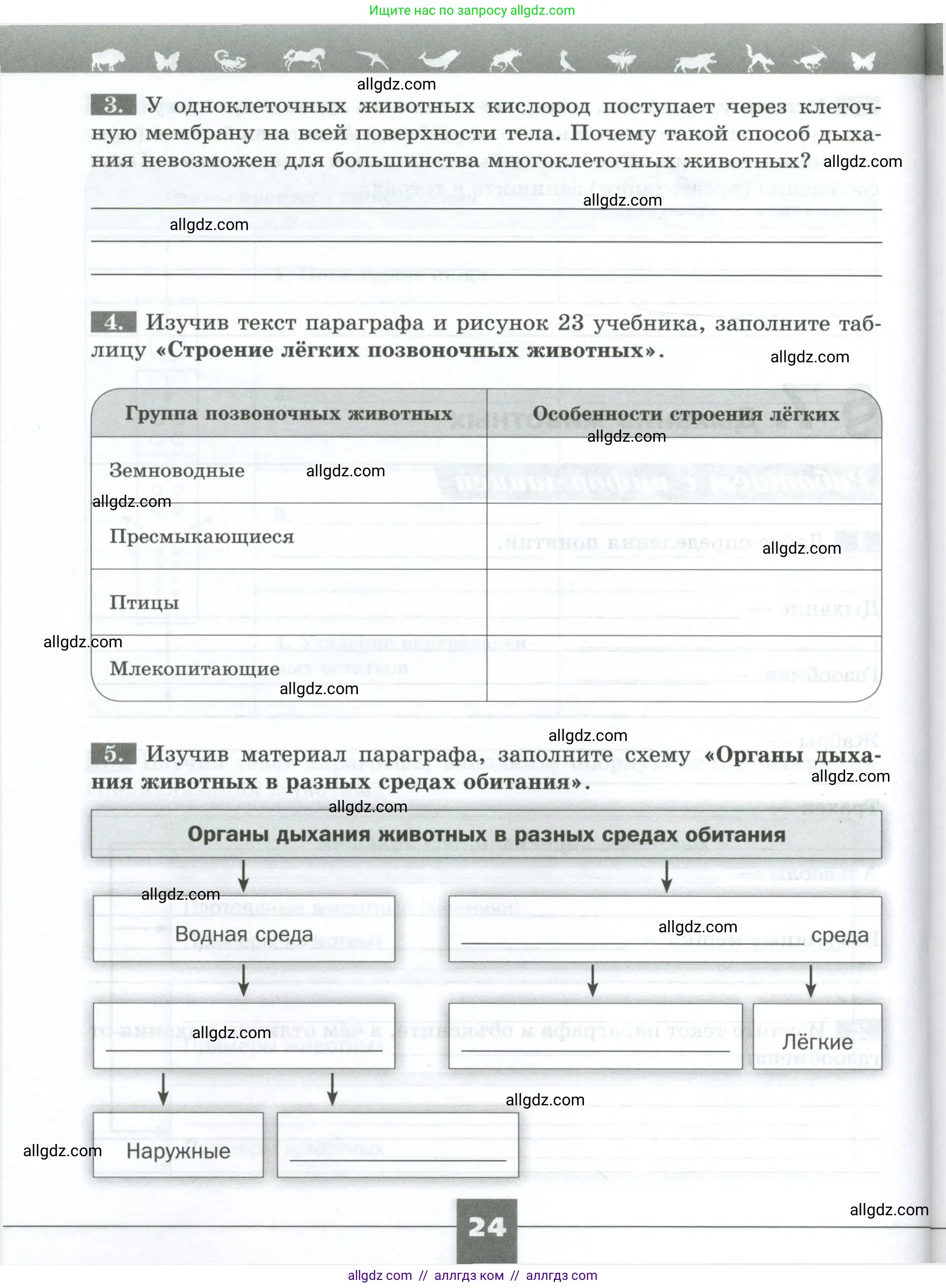 Биология, 8 класс рабочая тетрадь, авторы: Суматохин Сергей Витальевич, Пасечник Владимир Васильевич, Гапонюк Зоя Георгиевна, издательство Просвещение, Москва, 2023, оранжевого цвета, страница 24