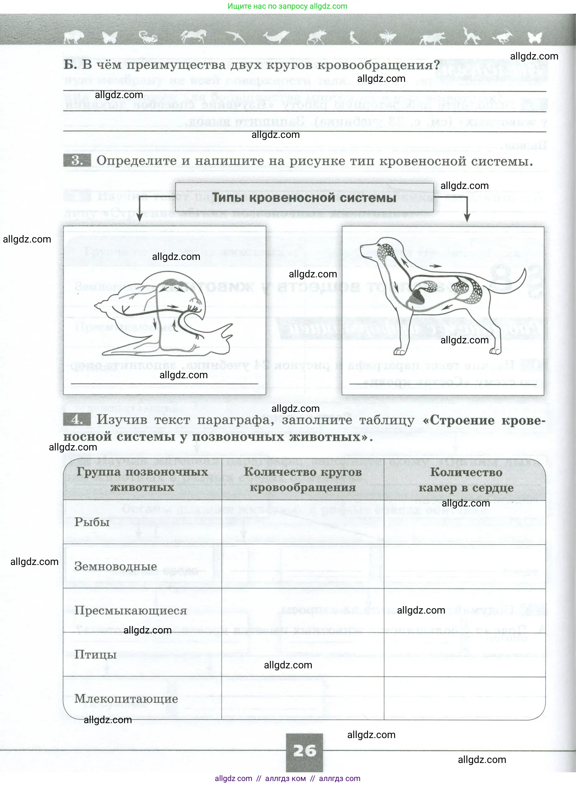 Биология, 8 класс рабочая тетрадь, авторы: Суматохин Сергей Витальевич, Пасечник Владимир Васильевич, Гапонюк Зоя Георгиевна, издательство Просвещение, Москва, 2023, оранжевого цвета, страница 26