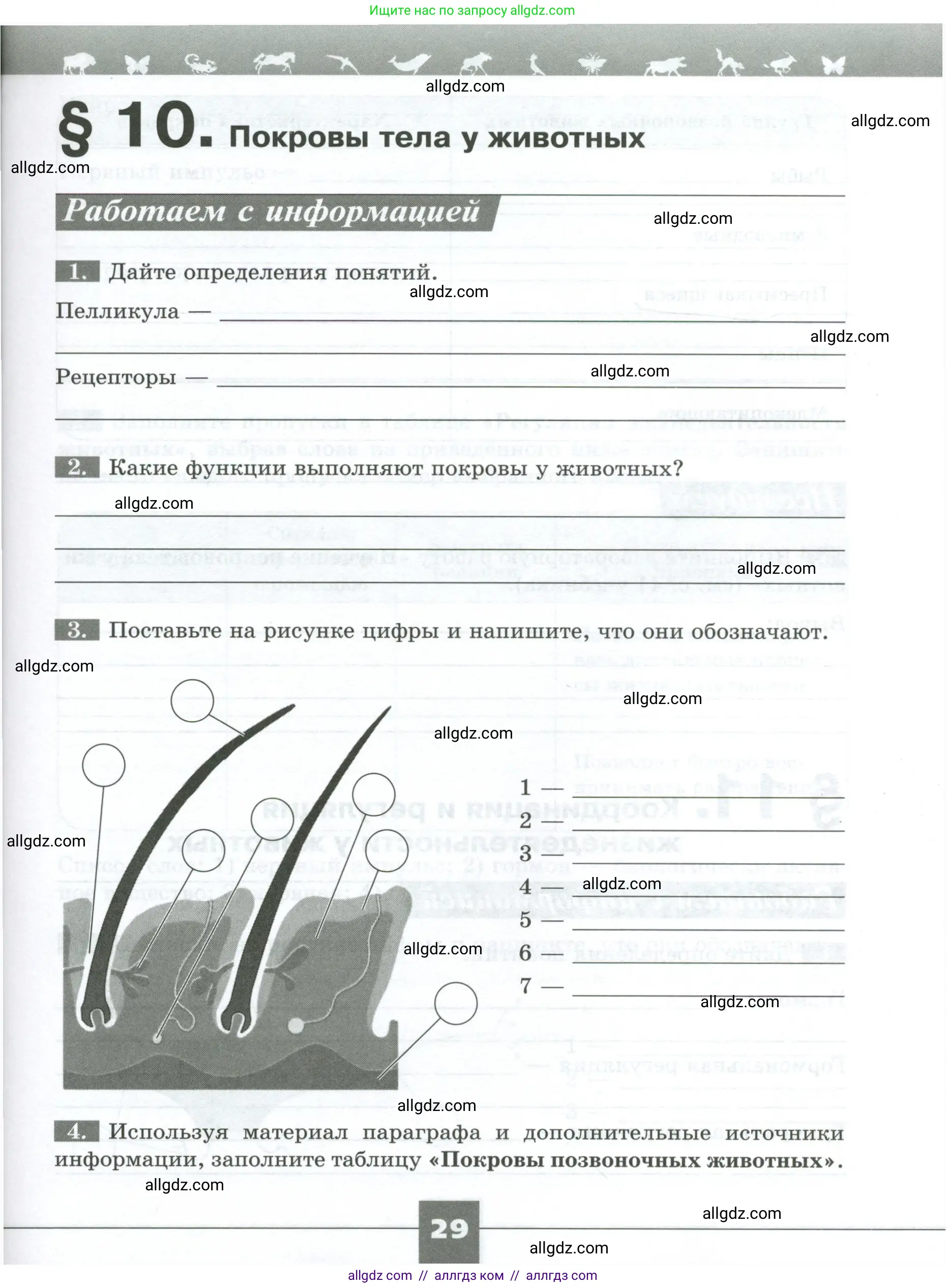 Биология, 8 класс рабочая тетрадь, авторы: Суматохин Сергей Витальевич, Пасечник Владимир Васильевич, Гапонюк Зоя Георгиевна, издательство Просвещение, Москва, 2023, оранжевого цвета, страница 29