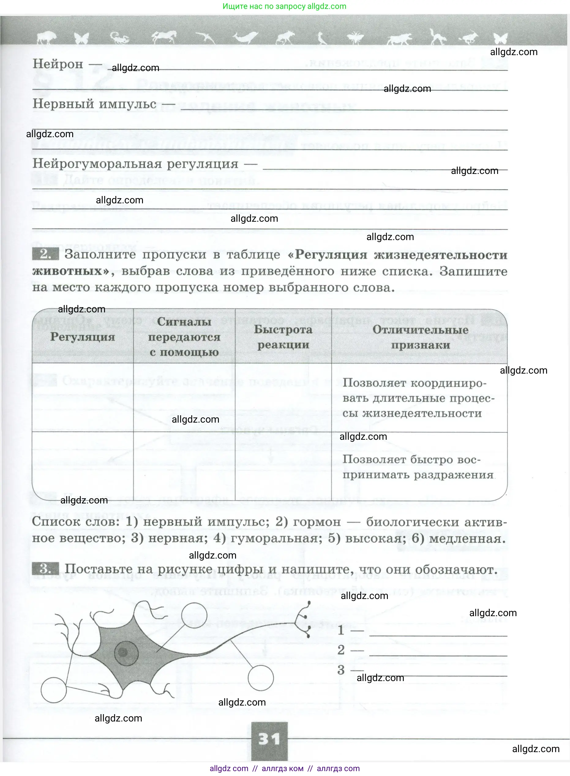 Биология, 8 класс рабочая тетрадь, авторы: Суматохин Сергей Витальевич, Пасечник Владимир Васильевич, Гапонюк Зоя Георгиевна, издательство Просвещение, Москва, 2023, оранжевого цвета, страница 31