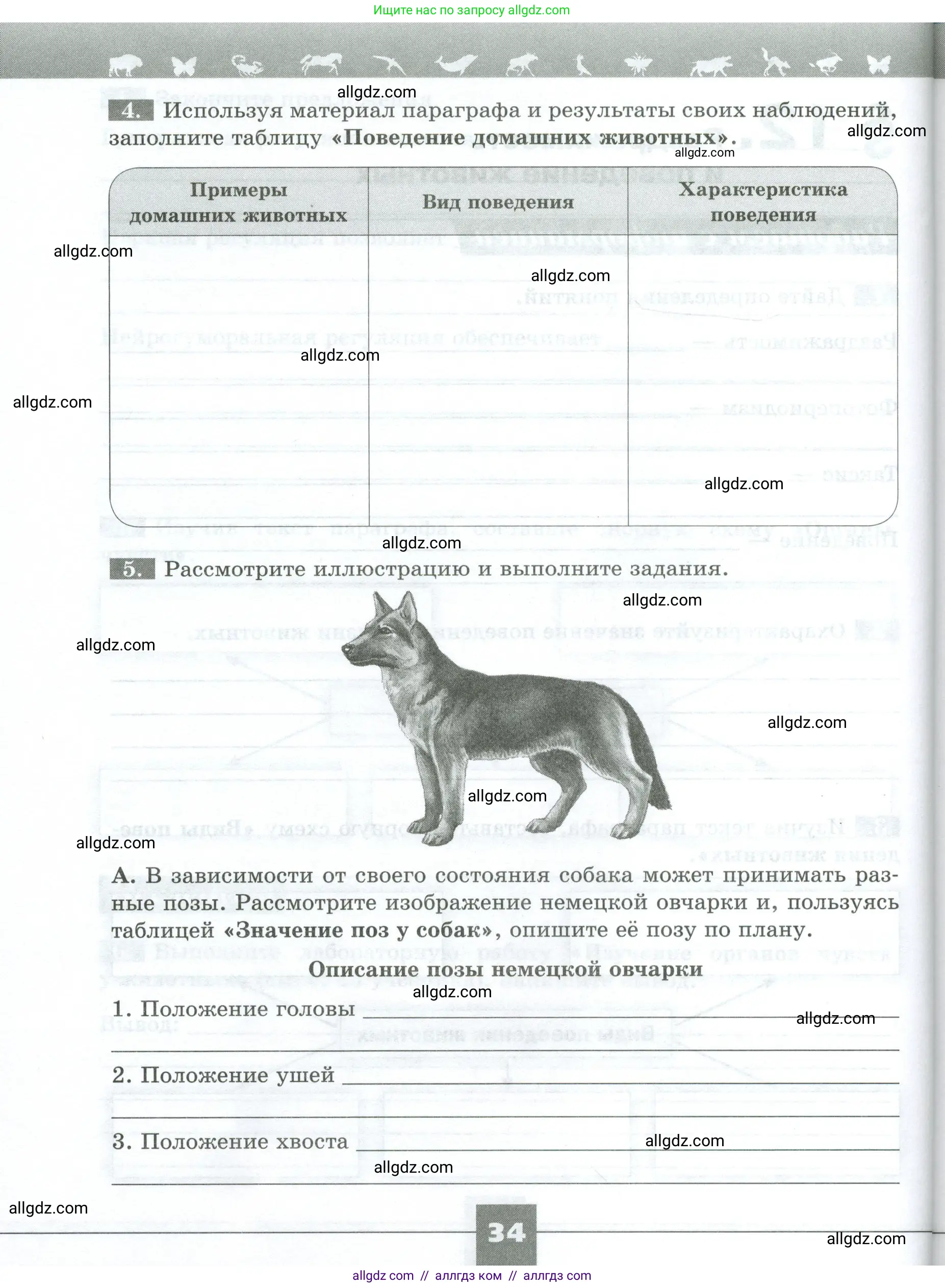 Биология, 8 класс рабочая тетрадь, авторы: Суматохин Сергей Витальевич, Пасечник Владимир Васильевич, Гапонюк Зоя Георгиевна, издательство Просвещение, Москва, 2023, оранжевого цвета, страница 34