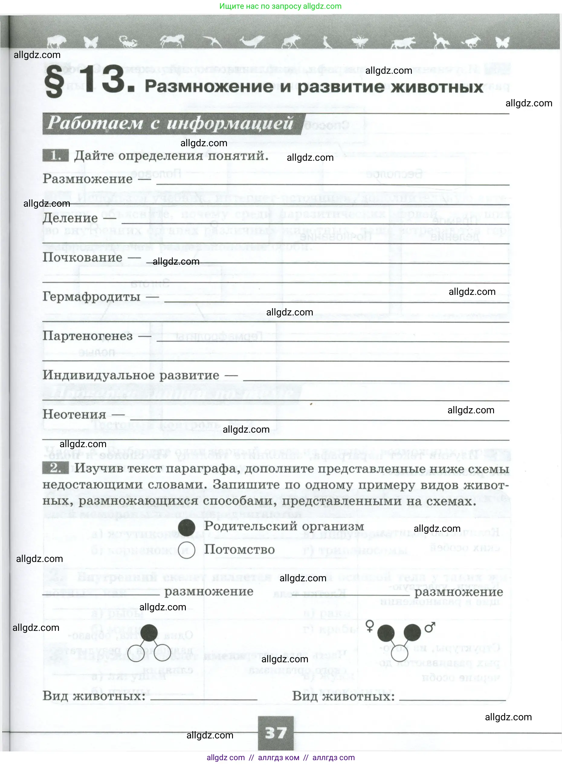 Биология, 8 класс рабочая тетрадь, авторы: Суматохин Сергей Витальевич, Пасечник Владимир Васильевич, Гапонюк Зоя Георгиевна, издательство Просвещение, Москва, 2023, оранжевого цвета, страница 37