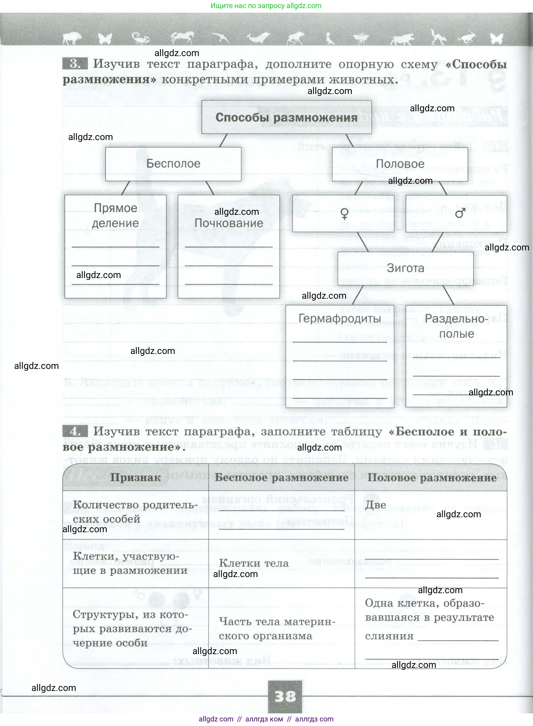 Биология, 8 класс рабочая тетрадь, авторы: Суматохин Сергей Витальевич, Пасечник Владимир Васильевич, Гапонюк Зоя Георгиевна, издательство Просвещение, Москва, 2023, оранжевого цвета, страница 38
