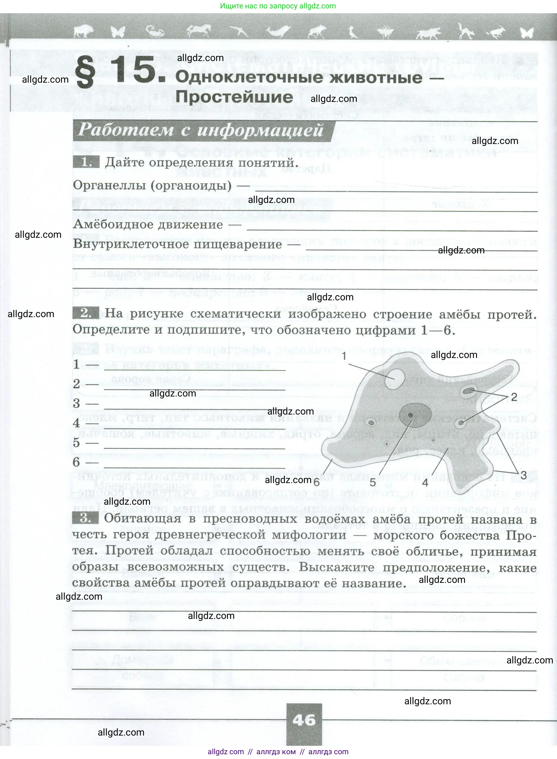 Биология, 8 класс рабочая тетрадь, авторы: Суматохин Сергей Витальевич, Пасечник Владимир Васильевич, Гапонюк Зоя Георгиевна, издательство Просвещение, Москва, 2023, оранжевого цвета, страница 46