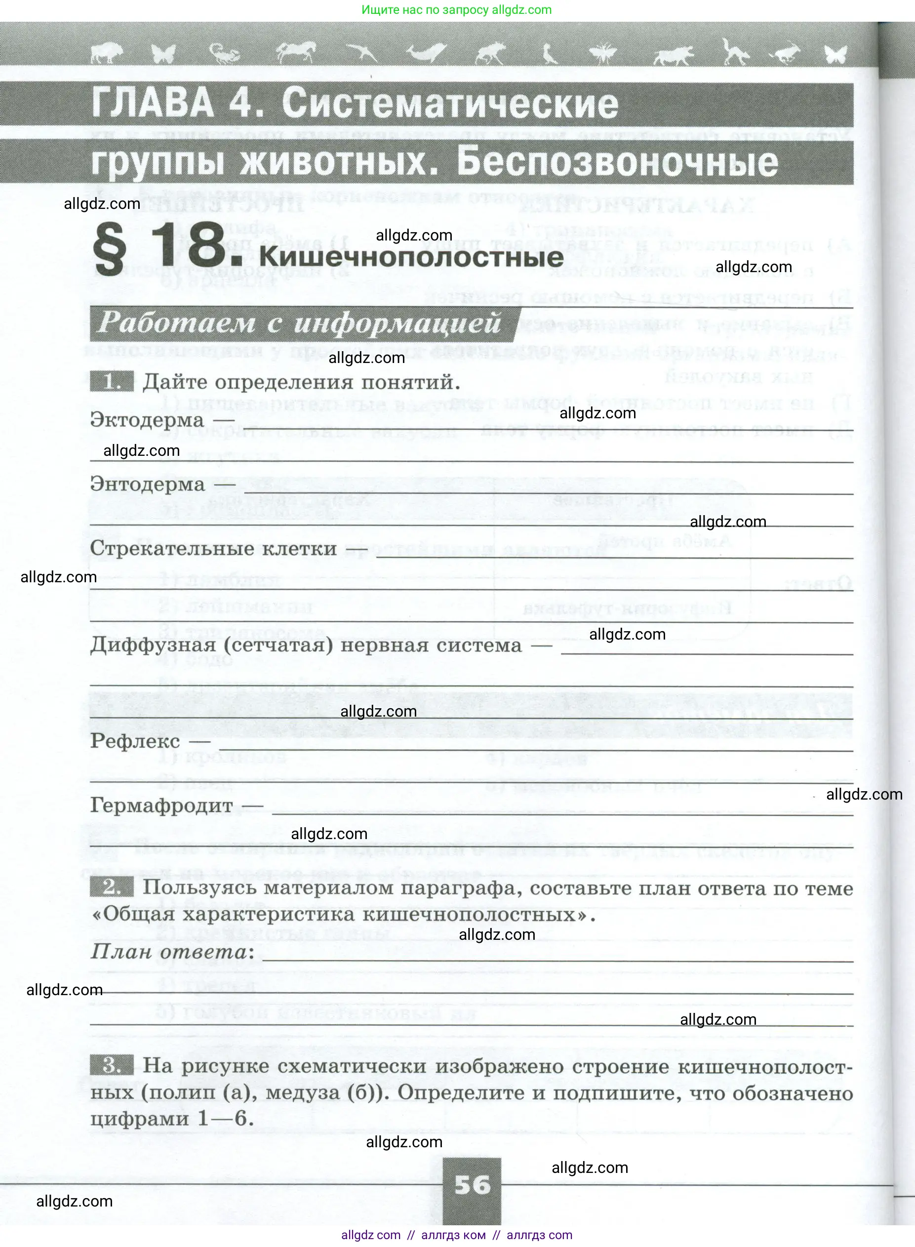 Биология, 8 класс рабочая тетрадь, авторы: Суматохин Сергей Витальевич, Пасечник Владимир Васильевич, Гапонюк Зоя Георгиевна, издательство Просвещение, Москва, 2023, оранжевого цвета, страница 56