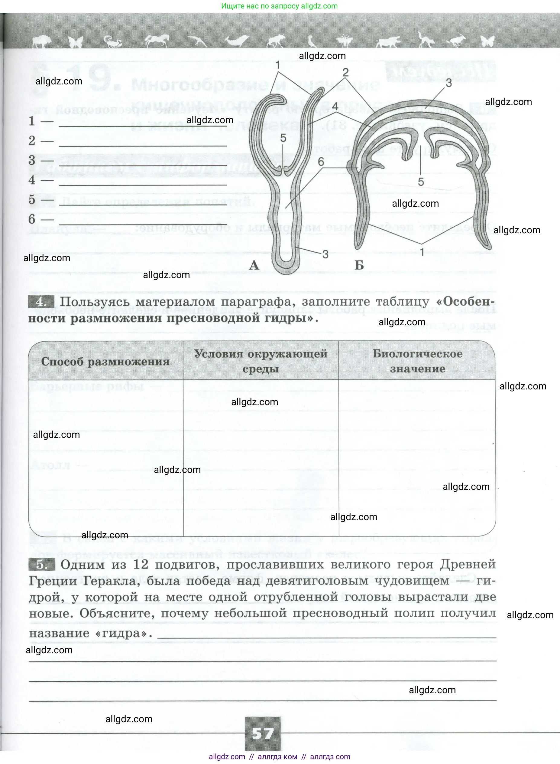 Биология, 8 класс рабочая тетрадь, авторы: Суматохин Сергей Витальевич, Пасечник Владимир Васильевич, Гапонюк Зоя Георгиевна, издательство Просвещение, Москва, 2023, оранжевого цвета, страница 57