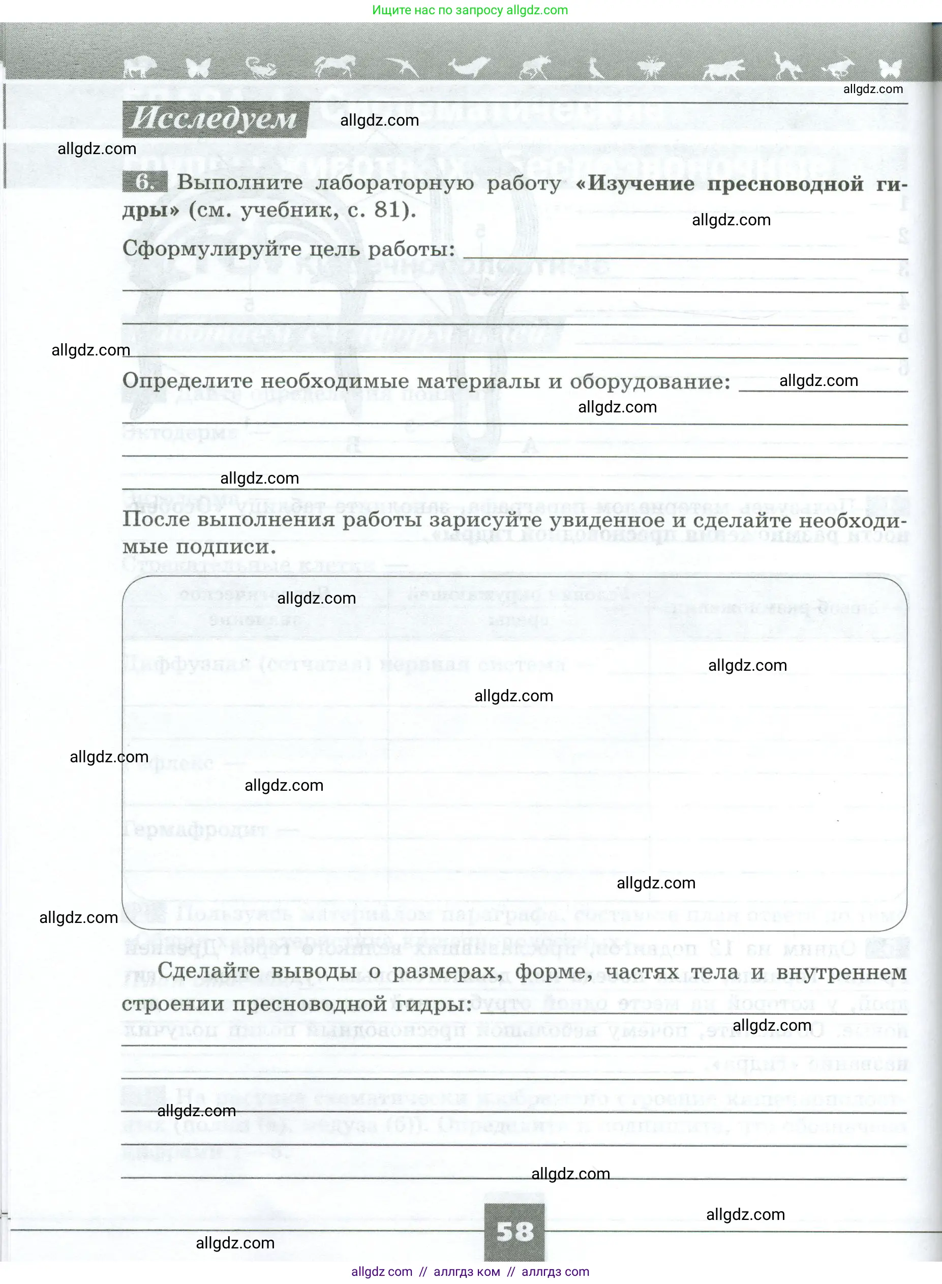 Биология, 8 класс рабочая тетрадь, авторы: Суматохин Сергей Витальевич, Пасечник Владимир Васильевич, Гапонюк Зоя Георгиевна, издательство Просвещение, Москва, 2023, оранжевого цвета, страница 58