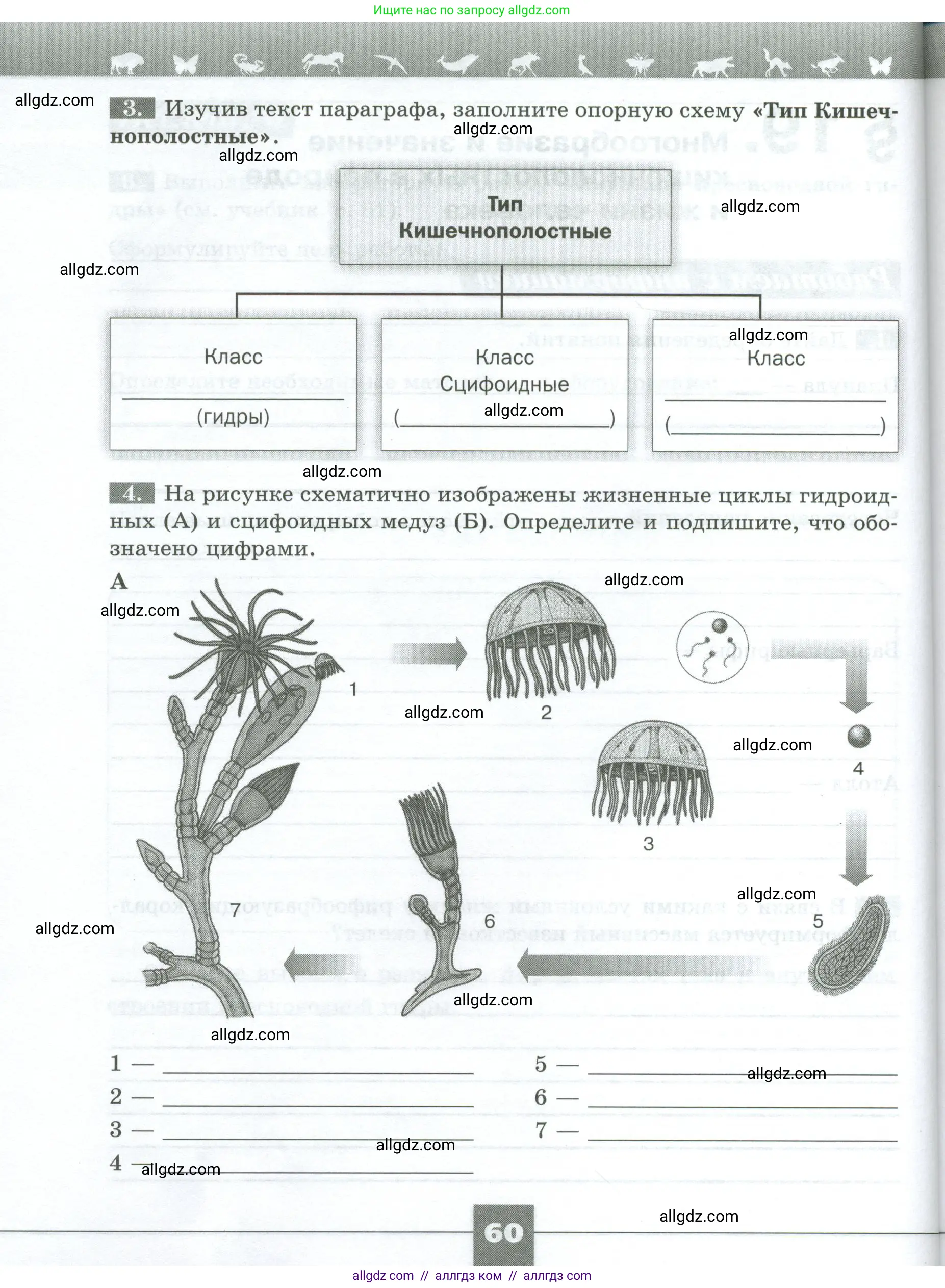 Биология, 8 класс рабочая тетрадь, авторы: Суматохин Сергей Витальевич, Пасечник Владимир Васильевич, Гапонюк Зоя Георгиевна, издательство Просвещение, Москва, 2023, оранжевого цвета, страница 60