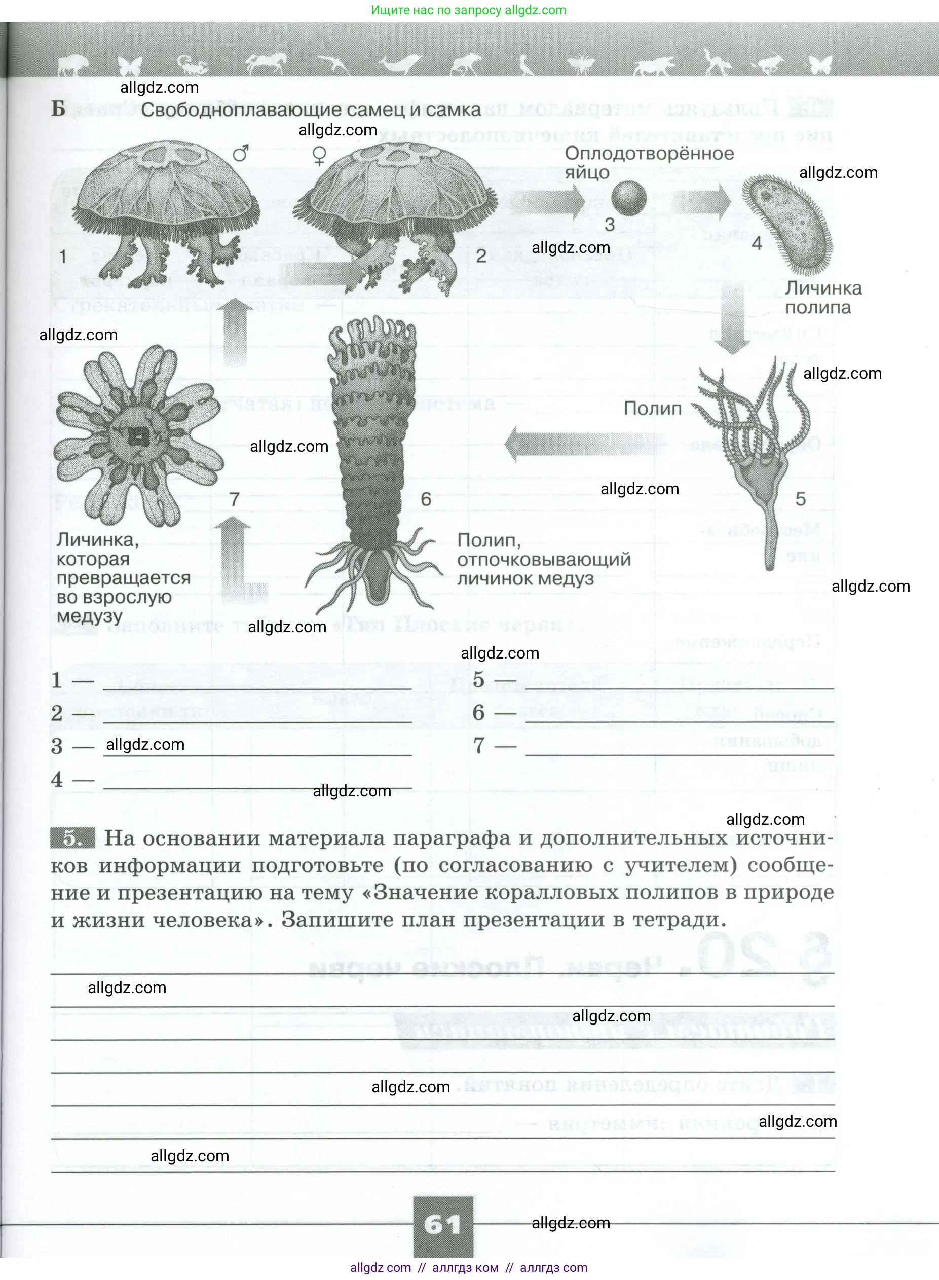 Биология, 8 класс рабочая тетрадь, авторы: Суматохин Сергей Витальевич, Пасечник Владимир Васильевич, Гапонюк Зоя Георгиевна, издательство Просвещение, Москва, 2023, оранжевого цвета, страница 61