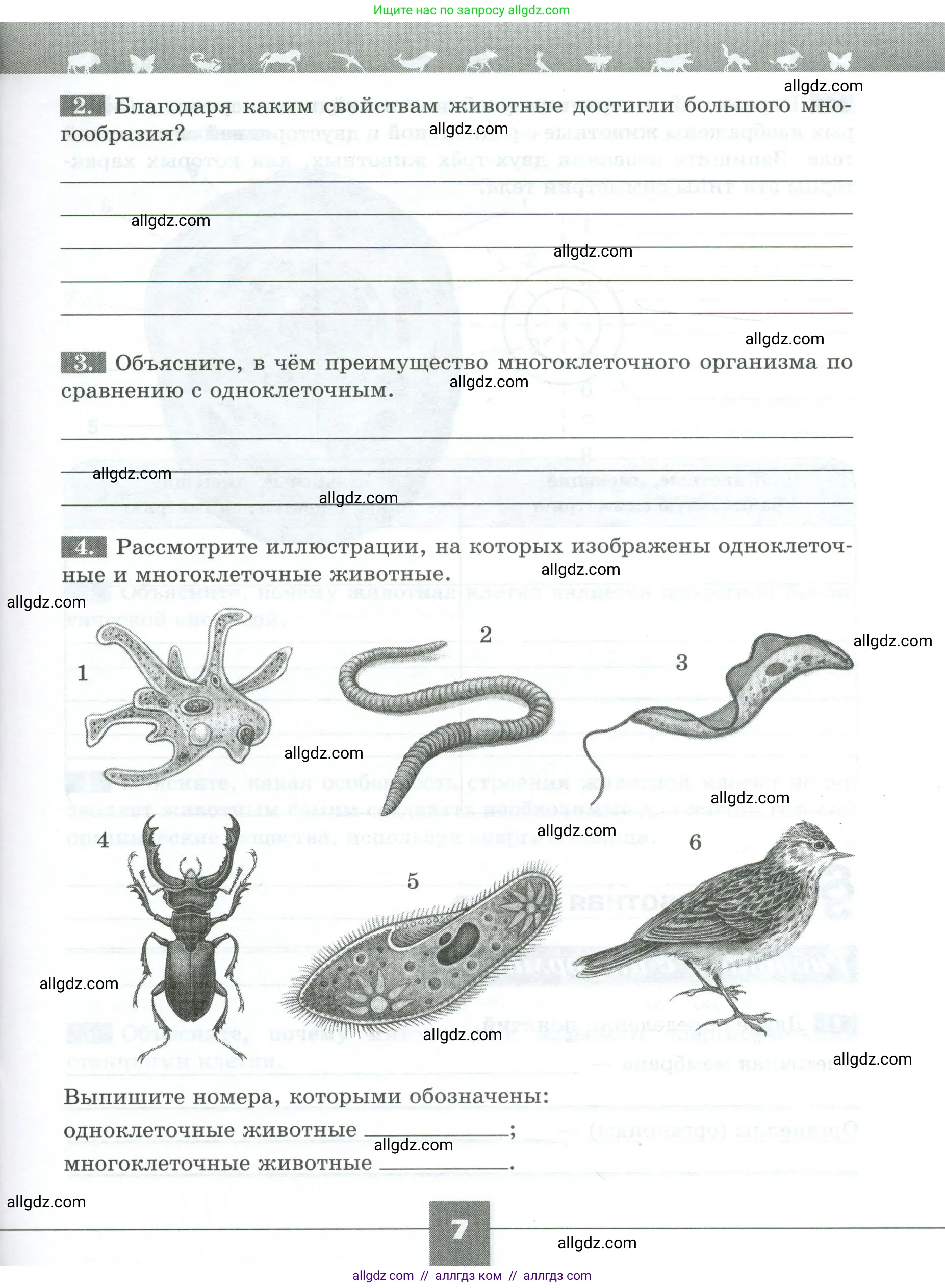 Биология, 8 класс рабочая тетрадь, авторы: Суматохин Сергей Витальевич, Пасечник Владимир Васильевич, Гапонюк Зоя Георгиевна, издательство Просвещение, Москва, 2023, оранжевого цвета, страница 7