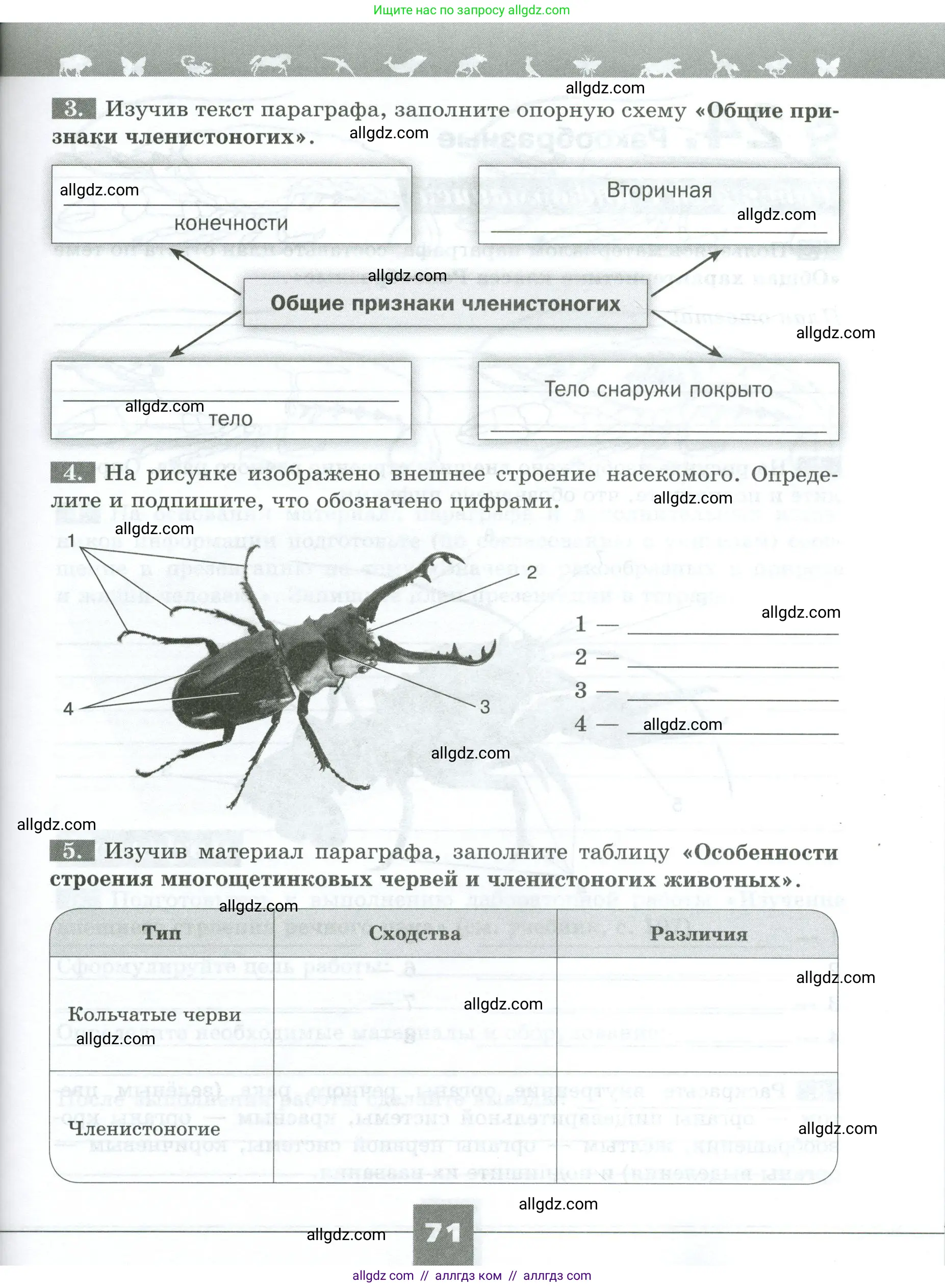 Биология, 8 класс рабочая тетрадь, авторы: Суматохин Сергей Витальевич, Пасечник Владимир Васильевич, Гапонюк Зоя Георгиевна, издательство Просвещение, Москва, 2023, оранжевого цвета, страница 71
