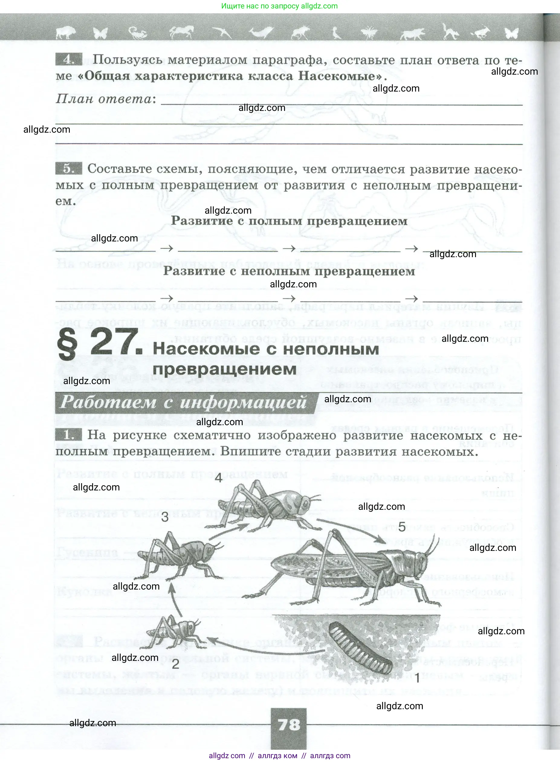 Биология, 8 класс рабочая тетрадь, авторы: Суматохин Сергей Витальевич, Пасечник Владимир Васильевич, Гапонюк Зоя Георгиевна, издательство Просвещение, Москва, 2023, оранжевого цвета, страница 78