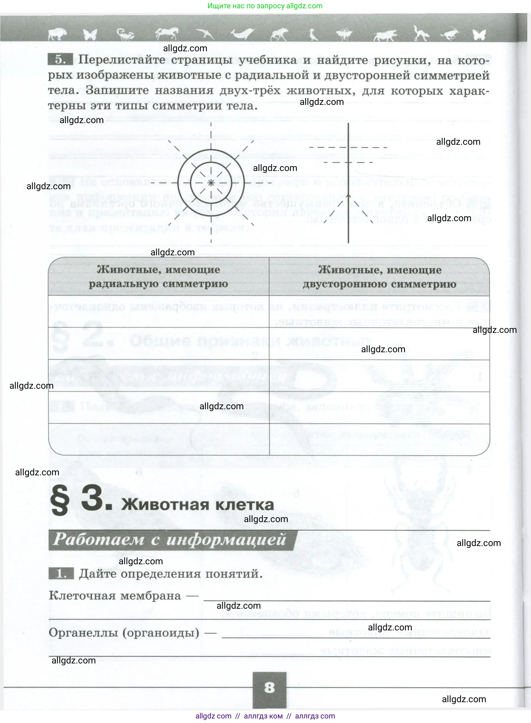 Биология, 8 класс рабочая тетрадь, авторы: Суматохин Сергей Витальевич, Пасечник Владимир Васильевич, Гапонюк Зоя Георгиевна, издательство Просвещение, Москва, 2023, оранжевого цвета, страница 8