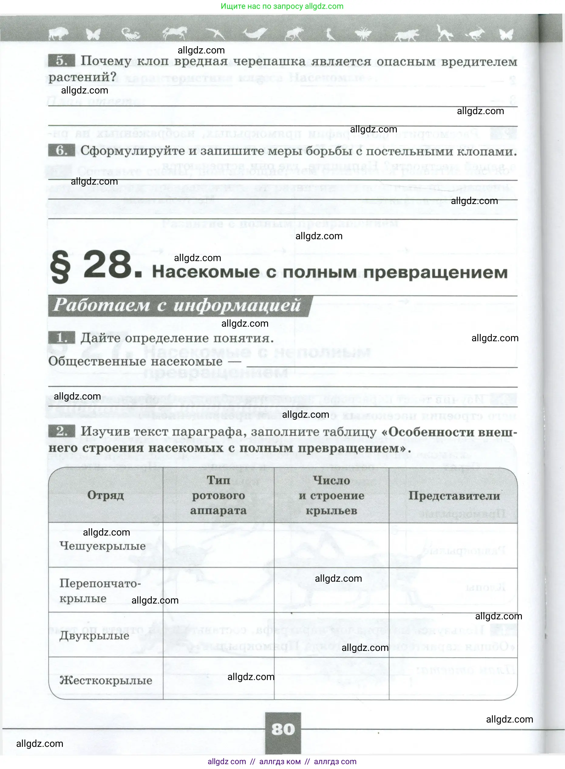 Биология, 8 класс рабочая тетрадь, авторы: Суматохин Сергей Витальевич, Пасечник Владимир Васильевич, Гапонюк Зоя Георгиевна, издательство Просвещение, Москва, 2023, оранжевого цвета, страница 80