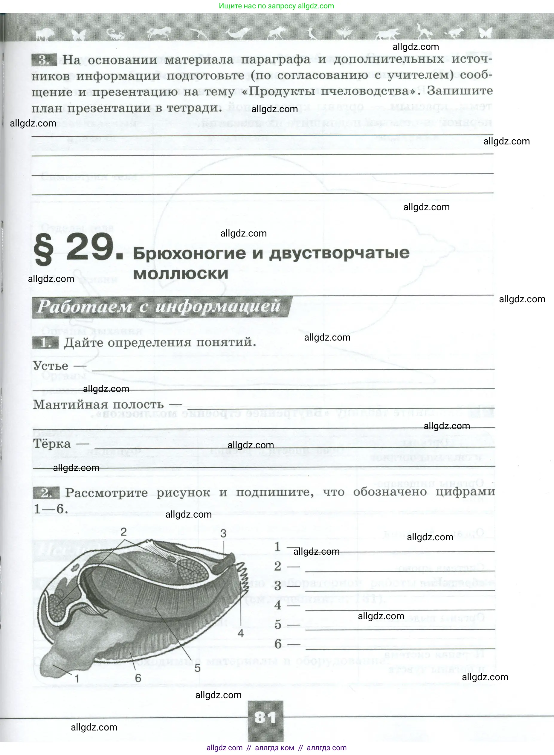 Биология, 8 класс рабочая тетрадь, авторы: Суматохин Сергей Витальевич, Пасечник Владимир Васильевич, Гапонюк Зоя Георгиевна, издательство Просвещение, Москва, 2023, оранжевого цвета, страница 81