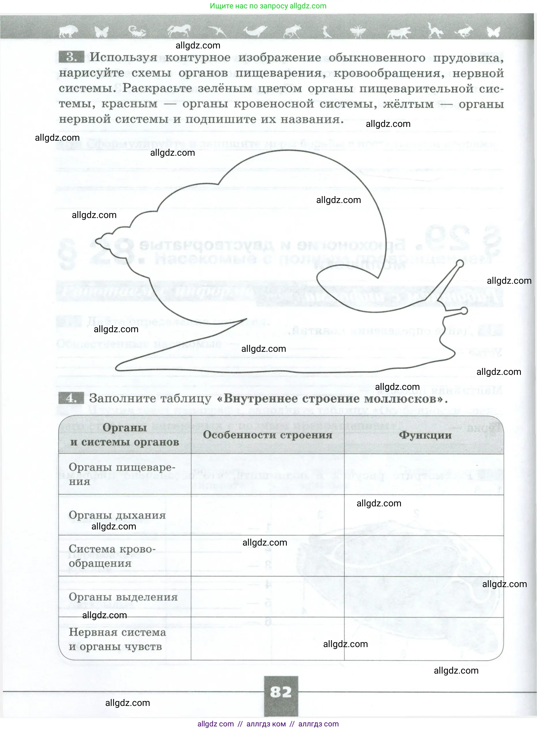 Биология, 8 класс рабочая тетрадь, авторы: Суматохин Сергей Витальевич, Пасечник Владимир Васильевич, Гапонюк Зоя Георгиевна, издательство Просвещение, Москва, 2023, оранжевого цвета, страница 82