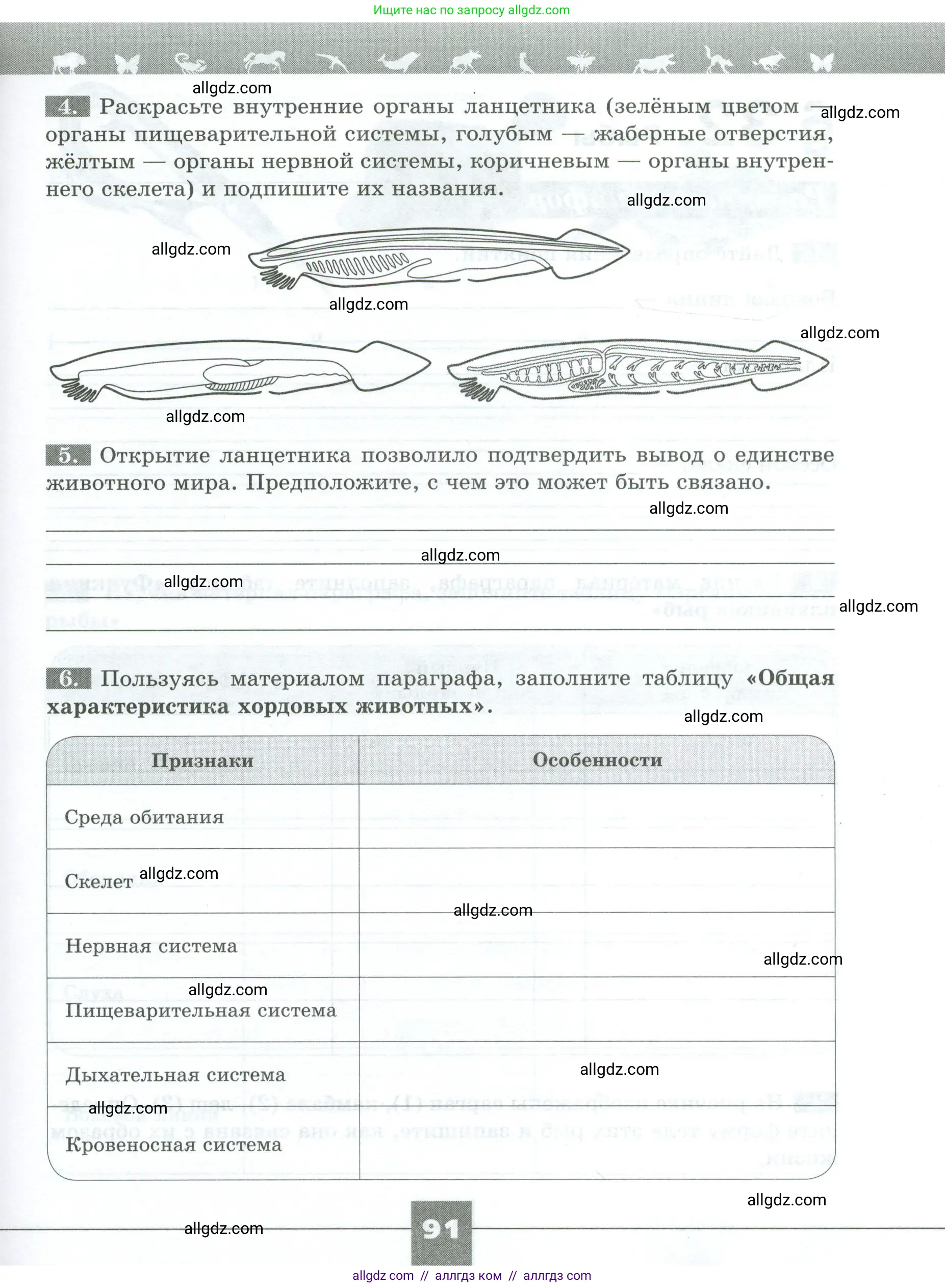 Биология, 8 класс рабочая тетрадь, авторы: Суматохин Сергей Витальевич, Пасечник Владимир Васильевич, Гапонюк Зоя Георгиевна, издательство Просвещение, Москва, 2023, оранжевого цвета, страница 91