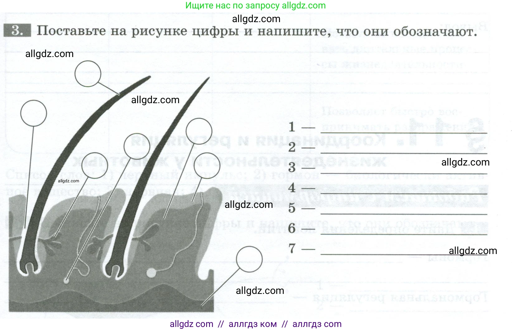 Биология, 8 класс рабочая тетрадь, авторы: Суматохин Сергей Витальевич, Пасечник Владимир Васильевич, Гапонюк Зоя Георгиевна, издательство Просвещение, Москва, 2023, оранжевого цвета, страница 29, номер 3, Условие