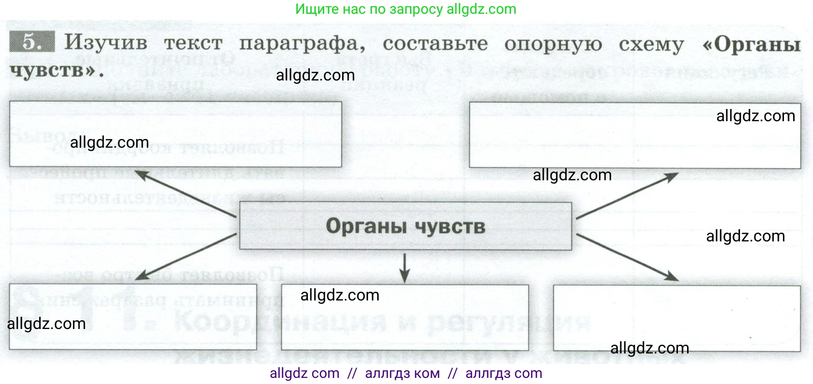Биология, 8 класс рабочая тетрадь, авторы: Суматохин Сергей Витальевич, Пасечник Владимир Васильевич, Гапонюк Зоя Георгиевна, издательство Просвещение, Москва, 2023, оранжевого цвета, страница 32, номер 5, Условие