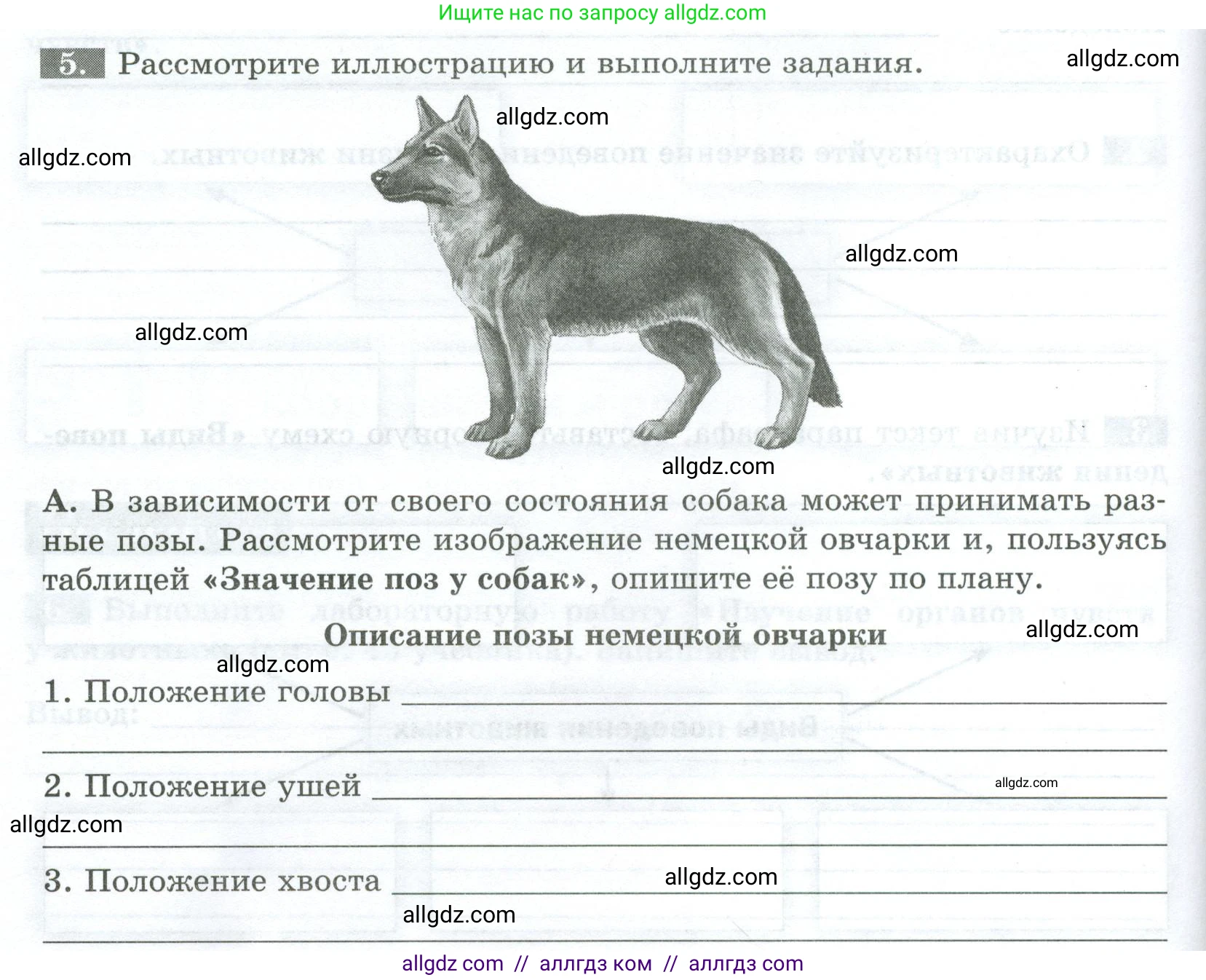 Биология, 8 класс рабочая тетрадь, авторы: Суматохин Сергей Витальевич, Пасечник Владимир Васильевич, Гапонюк Зоя Георгиевна, издательство Просвещение, Москва, 2023, оранжевого цвета, страница 34, номер 5, Условие
