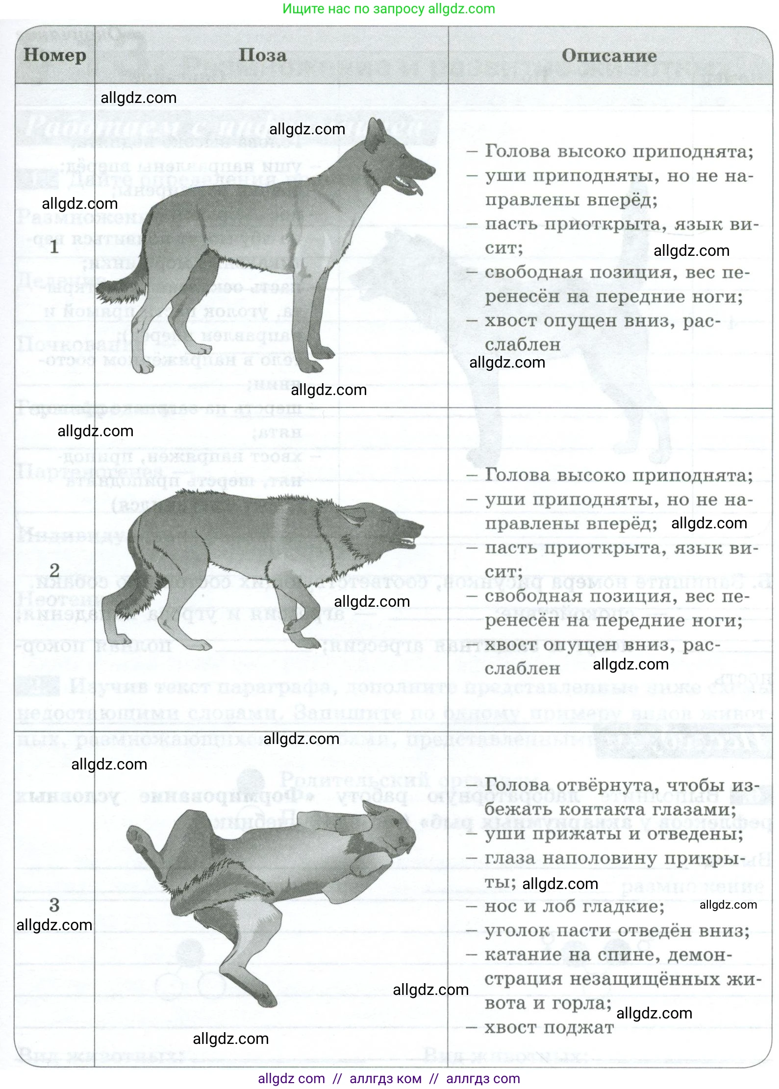 Биология, 8 класс рабочая тетрадь, авторы: Суматохин Сергей Витальевич, Пасечник Владимир Васильевич, Гапонюк Зоя Георгиевна, издательство Просвещение, Москва, 2023, оранжевого цвета, страница 34, номер 5, Условие (продолжение 2)