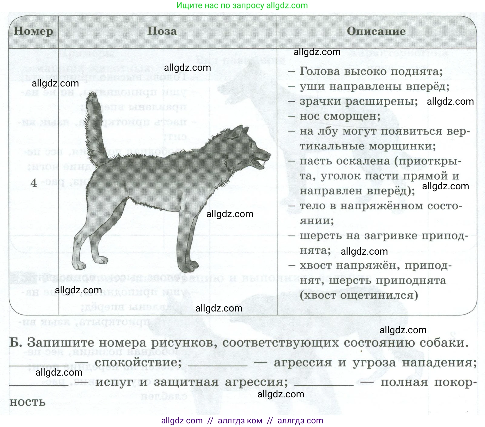 Биология, 8 класс рабочая тетрадь, авторы: Суматохин Сергей Витальевич, Пасечник Владимир Васильевич, Гапонюк Зоя Георгиевна, издательство Просвещение, Москва, 2023, оранжевого цвета, страница 34, номер 5, Условие (продолжение 3)