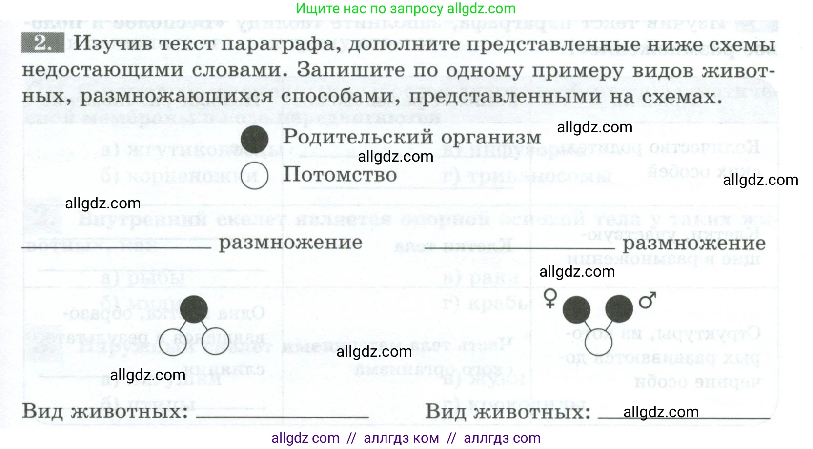 Биология, 8 класс рабочая тетрадь, авторы: Суматохин Сергей Витальевич, Пасечник Владимир Васильевич, Гапонюк Зоя Георгиевна, издательство Просвещение, Москва, 2023, оранжевого цвета, страница 37, номер 2, Условие