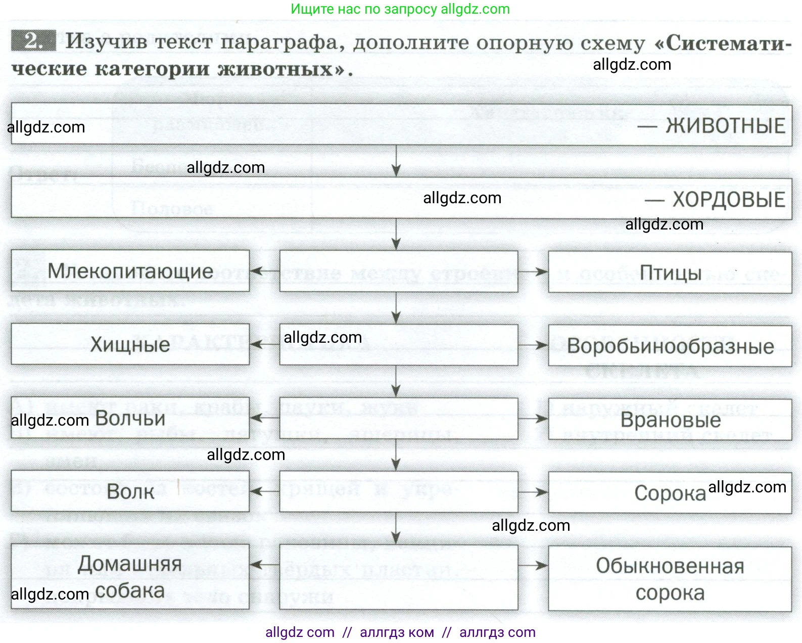 Биология, 8 класс рабочая тетрадь, авторы: Суматохин Сергей Витальевич, Пасечник Владимир Васильевич, Гапонюк Зоя Георгиевна, издательство Просвещение, Москва, 2023, оранжевого цвета, страница 44, номер 2, Условие