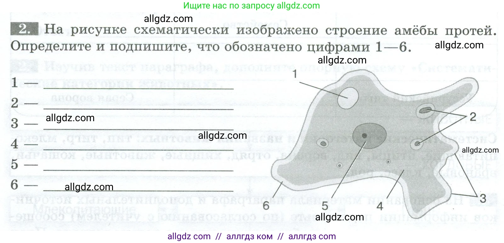 Биология, 8 класс рабочая тетрадь, авторы: Суматохин Сергей Витальевич, Пасечник Владимир Васильевич, Гапонюк Зоя Георгиевна, издательство Просвещение, Москва, 2023, оранжевого цвета, страница 46, номер 2, Условие