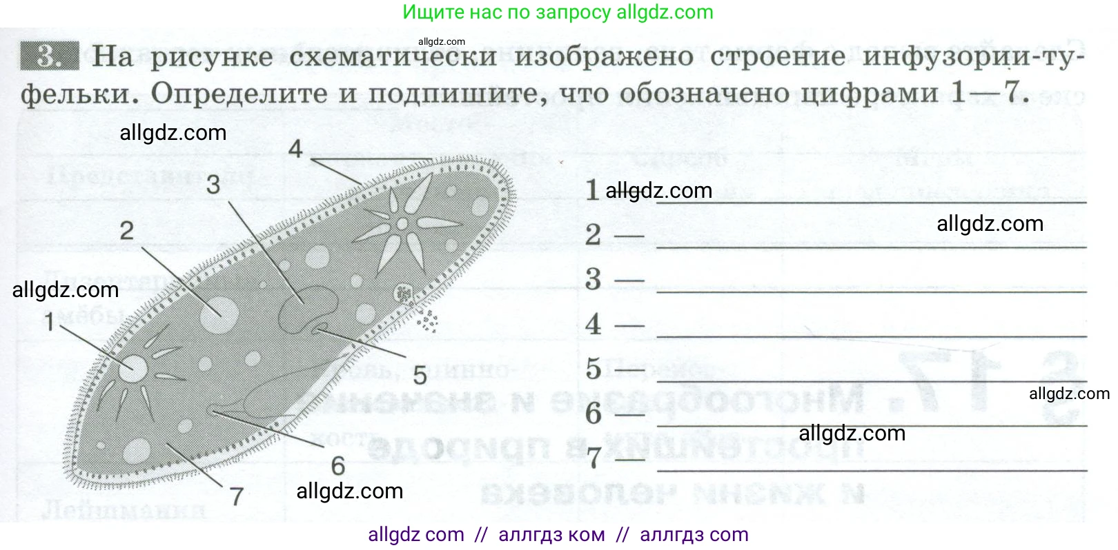 Биология, 8 класс рабочая тетрадь, авторы: Суматохин Сергей Витальевич, Пасечник Владимир Васильевич, Гапонюк Зоя Георгиевна, издательство Просвещение, Москва, 2023, оранжевого цвета, страница 49, номер 3, Условие