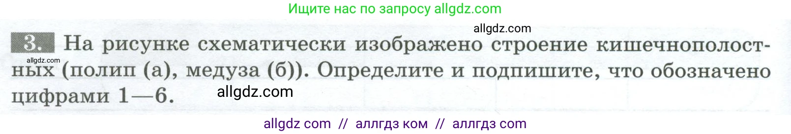 Биология, 8 класс рабочая тетрадь, авторы: Суматохин Сергей Витальевич, Пасечник Владимир Васильевич, Гапонюк Зоя Георгиевна, издательство Просвещение, Москва, 2023, оранжевого цвета, страница 56, номер 3, Условие