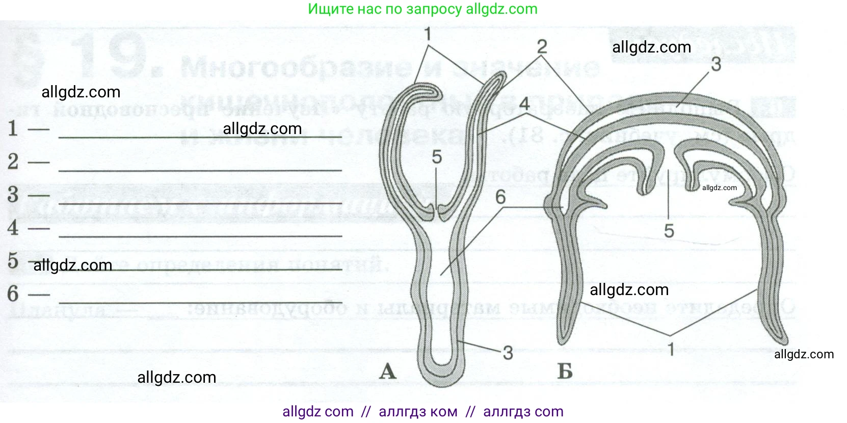 Биология, 8 класс рабочая тетрадь, авторы: Суматохин Сергей Витальевич, Пасечник Владимир Васильевич, Гапонюк Зоя Георгиевна, издательство Просвещение, Москва, 2023, оранжевого цвета, страница 56, номер 3, Условие (продолжение 2)