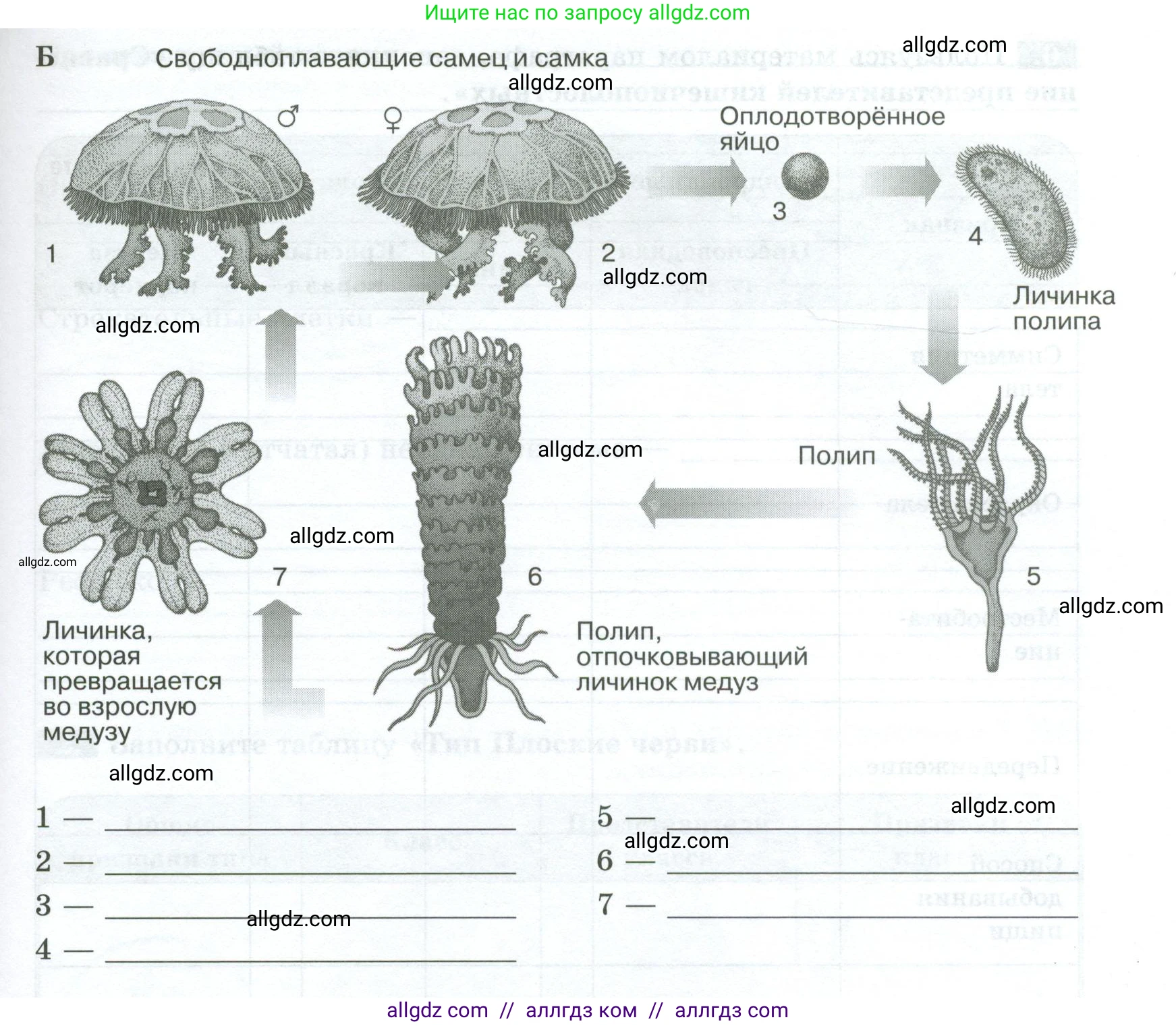 Биология, 8 класс рабочая тетрадь, авторы: Суматохин Сергей Витальевич, Пасечник Владимир Васильевич, Гапонюк Зоя Георгиевна, издательство Просвещение, Москва, 2023, оранжевого цвета, страница 60, номер 4, Условие (продолжение 2)
