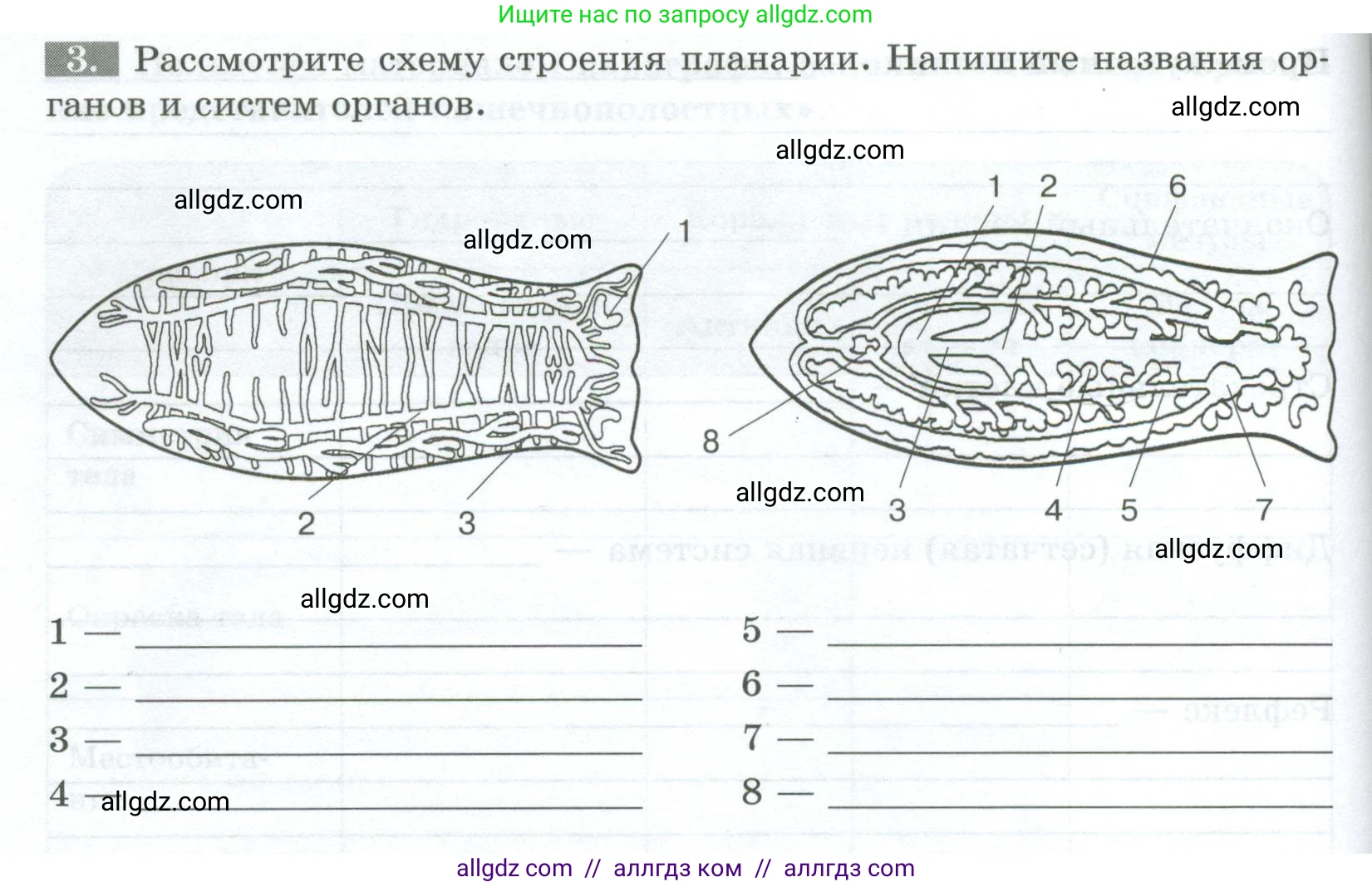 Биология, 8 класс рабочая тетрадь, авторы: Суматохин Сергей Витальевич, Пасечник Владимир Васильевич, Гапонюк Зоя Георгиевна, издательство Просвещение, Москва, 2023, оранжевого цвета, страница 64, номер 3, Условие