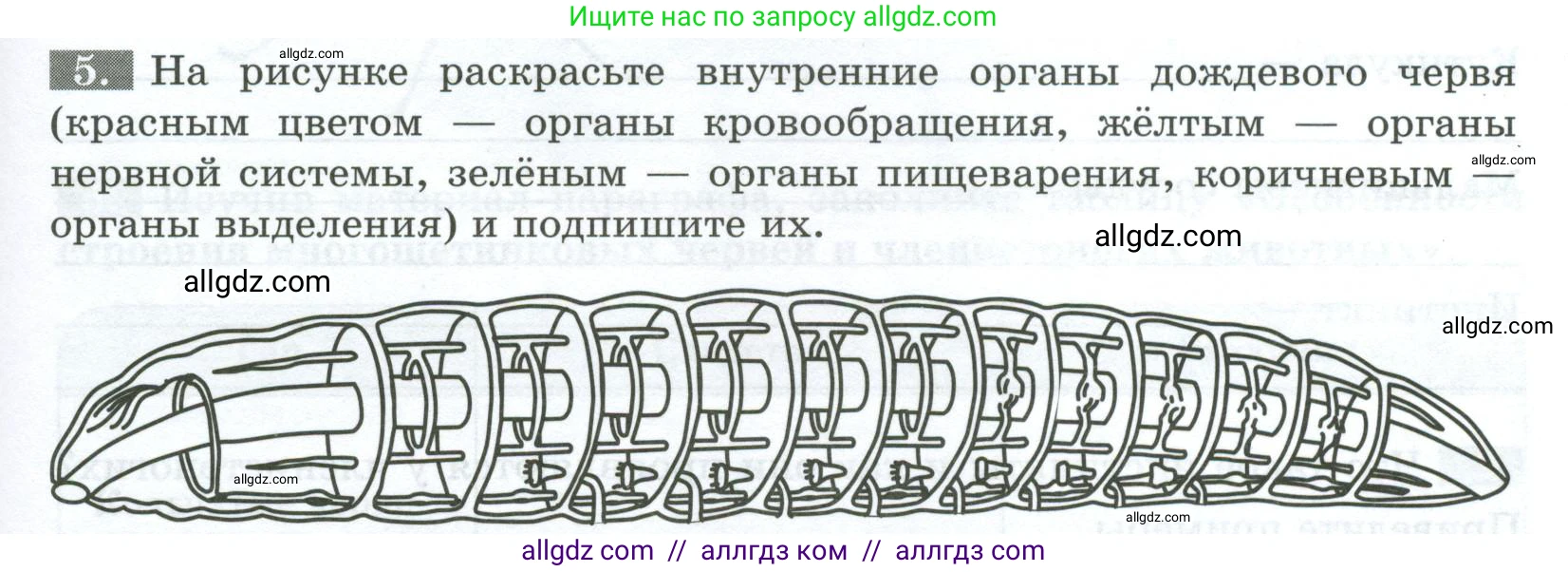 Биология, 8 класс рабочая тетрадь, авторы: Суматохин Сергей Витальевич, Пасечник Владимир Васильевич, Гапонюк Зоя Георгиевна, издательство Просвещение, Москва, 2023, оранжевого цвета, страница 69, номер 5, Условие