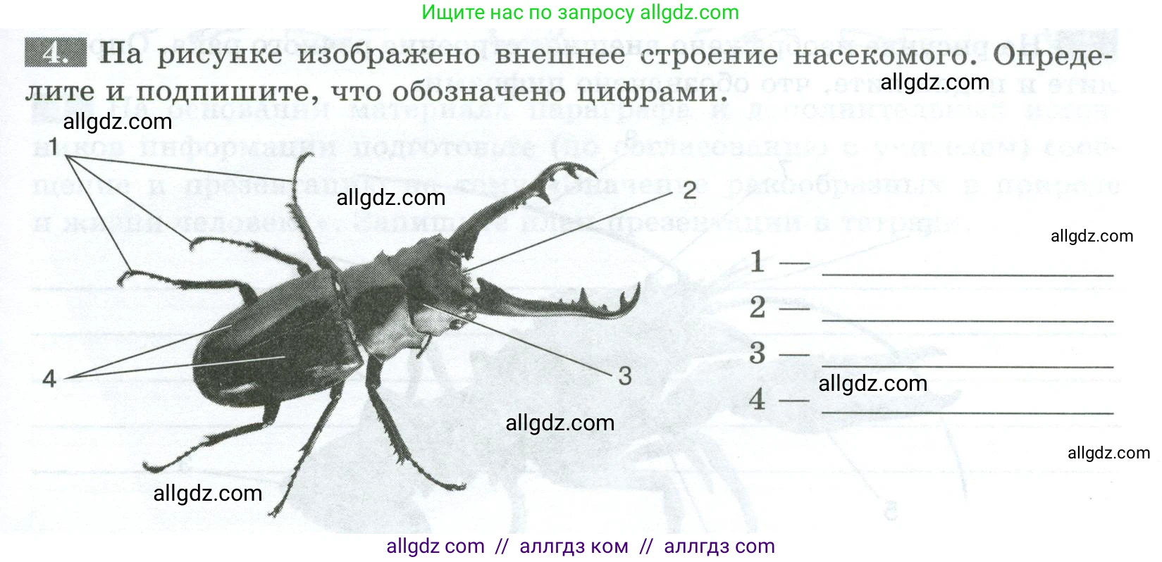 Биология, 8 класс рабочая тетрадь, авторы: Суматохин Сергей Витальевич, Пасечник Владимир Васильевич, Гапонюк Зоя Георгиевна, издательство Просвещение, Москва, 2023, оранжевого цвета, страница 71, номер 4, Условие