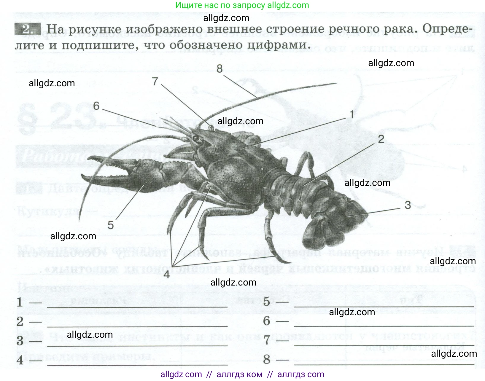 Биология, 8 класс рабочая тетрадь, авторы: Суматохин Сергей Витальевич, Пасечник Владимир Васильевич, Гапонюк Зоя Георгиевна, издательство Просвещение, Москва, 2023, оранжевого цвета, страница 72, номер 2, Условие