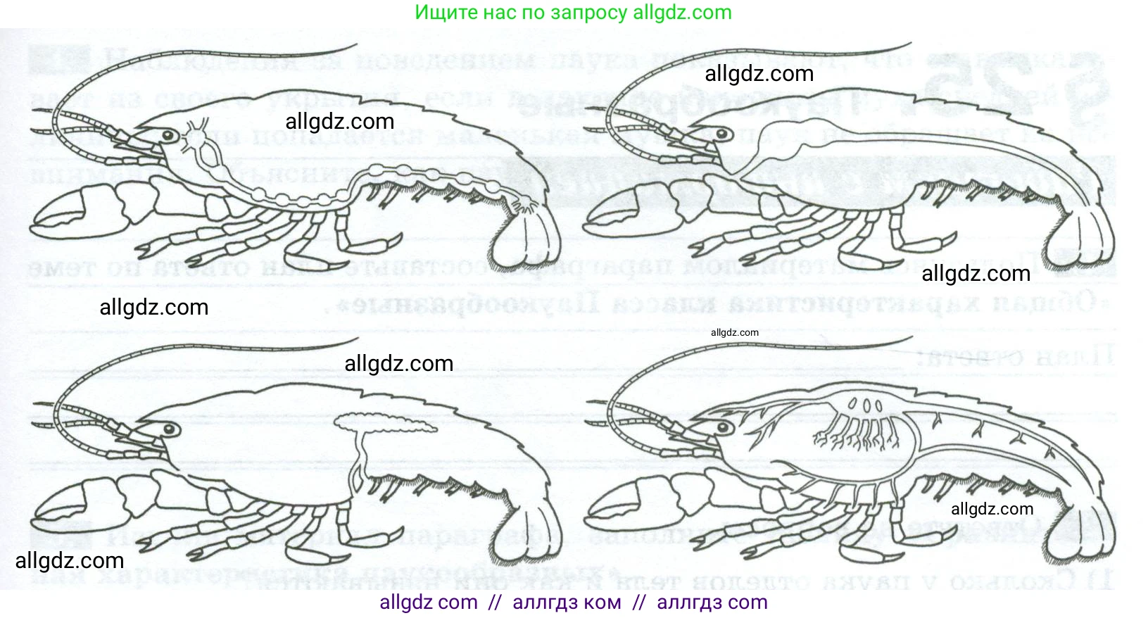 Биология, 8 класс рабочая тетрадь, авторы: Суматохин Сергей Витальевич, Пасечник Владимир Васильевич, Гапонюк Зоя Георгиевна, издательство Просвещение, Москва, 2023, оранжевого цвета, страница 72, номер 3, Условие (продолжение 2)
