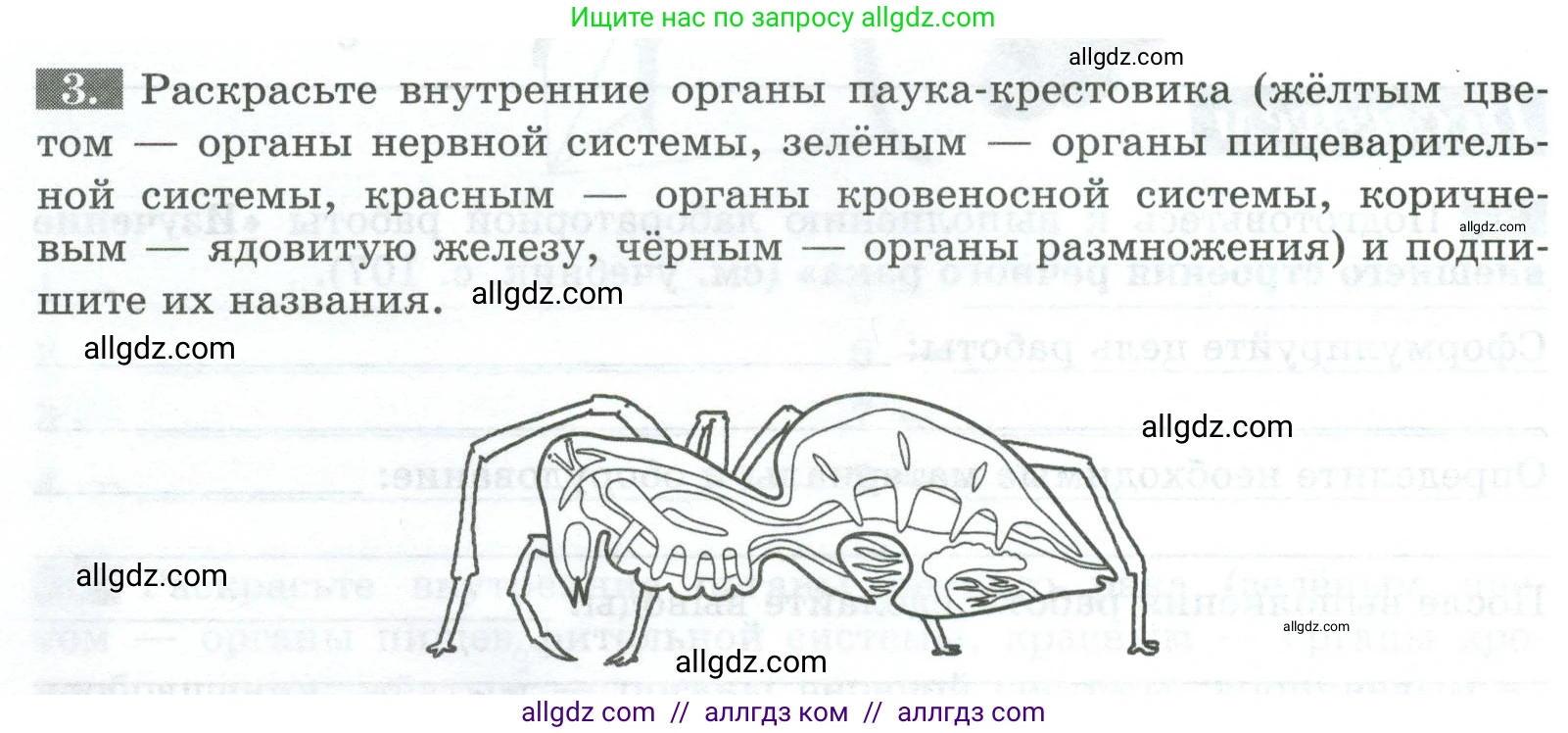 Биология, 8 класс рабочая тетрадь, авторы: Суматохин Сергей Витальевич, Пасечник Владимир Васильевич, Гапонюк Зоя Георгиевна, издательство Просвещение, Москва, 2023, оранжевого цвета, страница 74, номер 3, Условие