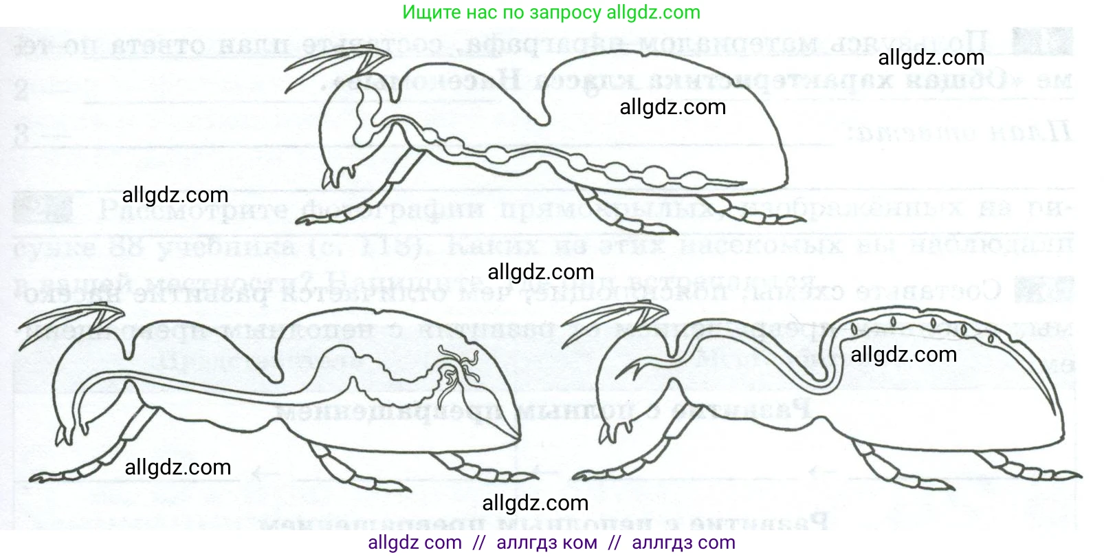 Биология, 8 класс рабочая тетрадь, авторы: Суматохин Сергей Витальевич, Пасечник Владимир Васильевич, Гапонюк Зоя Георгиевна, издательство Просвещение, Москва, 2023, оранжевого цвета, страница 76, номер 2, Условие (продолжение 2)