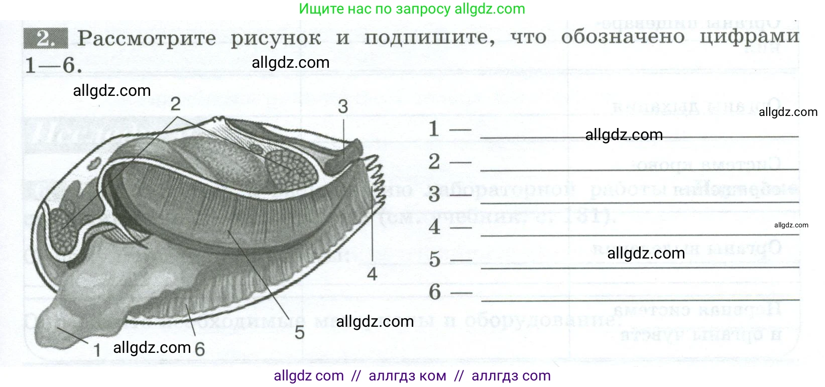 Биология, 8 класс рабочая тетрадь, авторы: Суматохин Сергей Витальевич, Пасечник Владимир Васильевич, Гапонюк Зоя Георгиевна, издательство Просвещение, Москва, 2023, оранжевого цвета, страница 81, номер 2, Условие